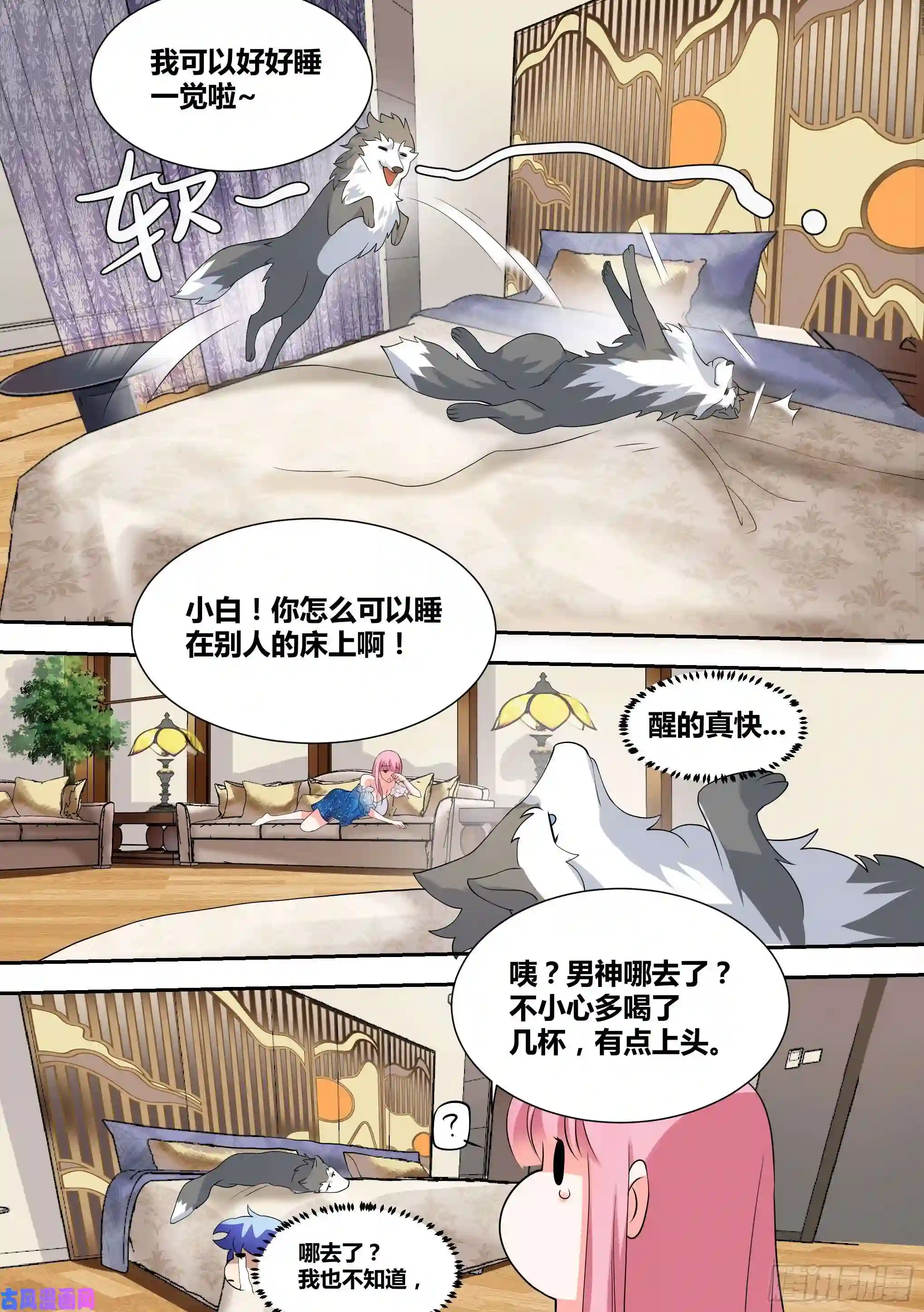 直播：女神家的哈士奇天秀56-你玩不过我，懂了吗？