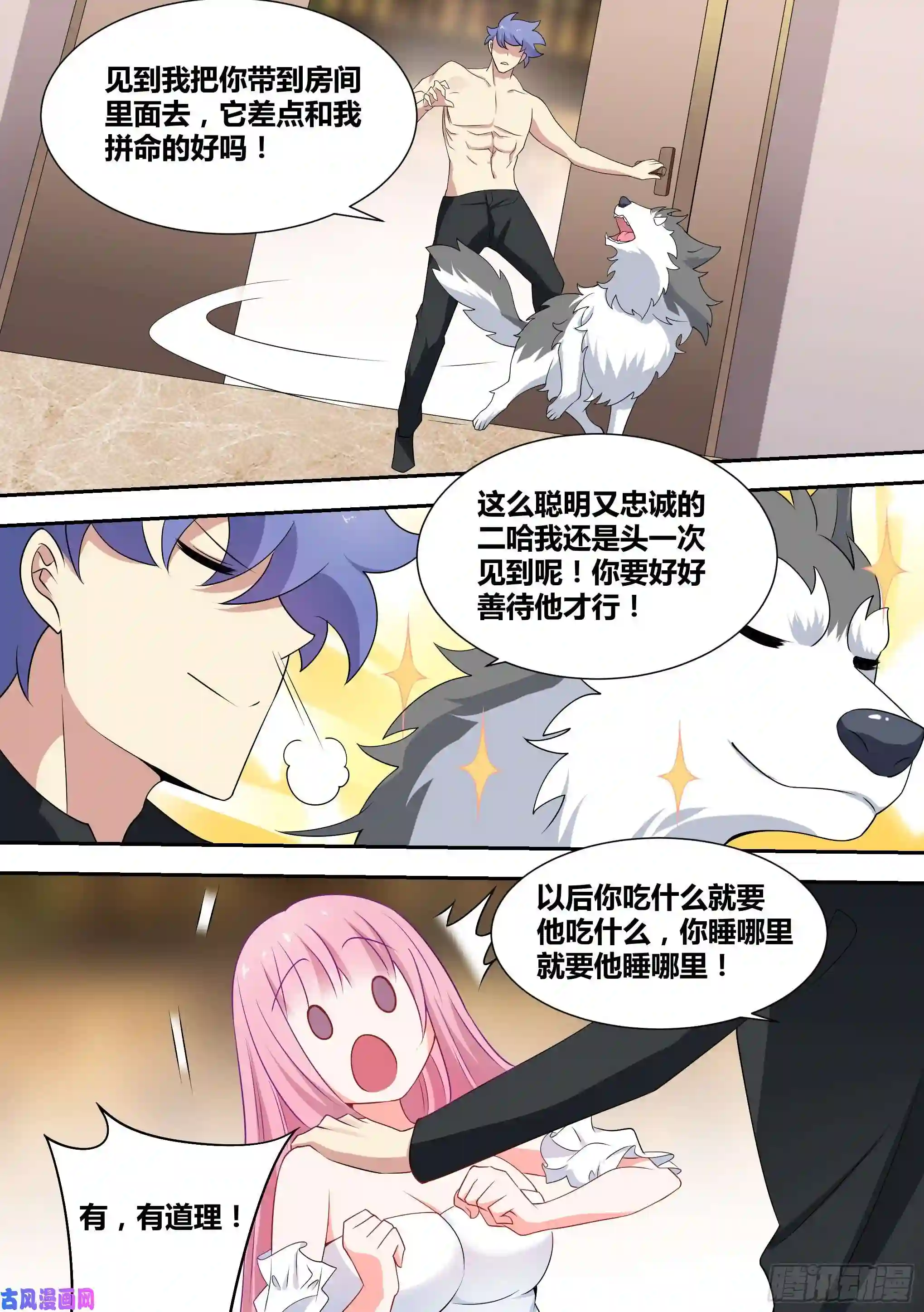 直播：女神家的哈士奇天秀59-婉清演戏