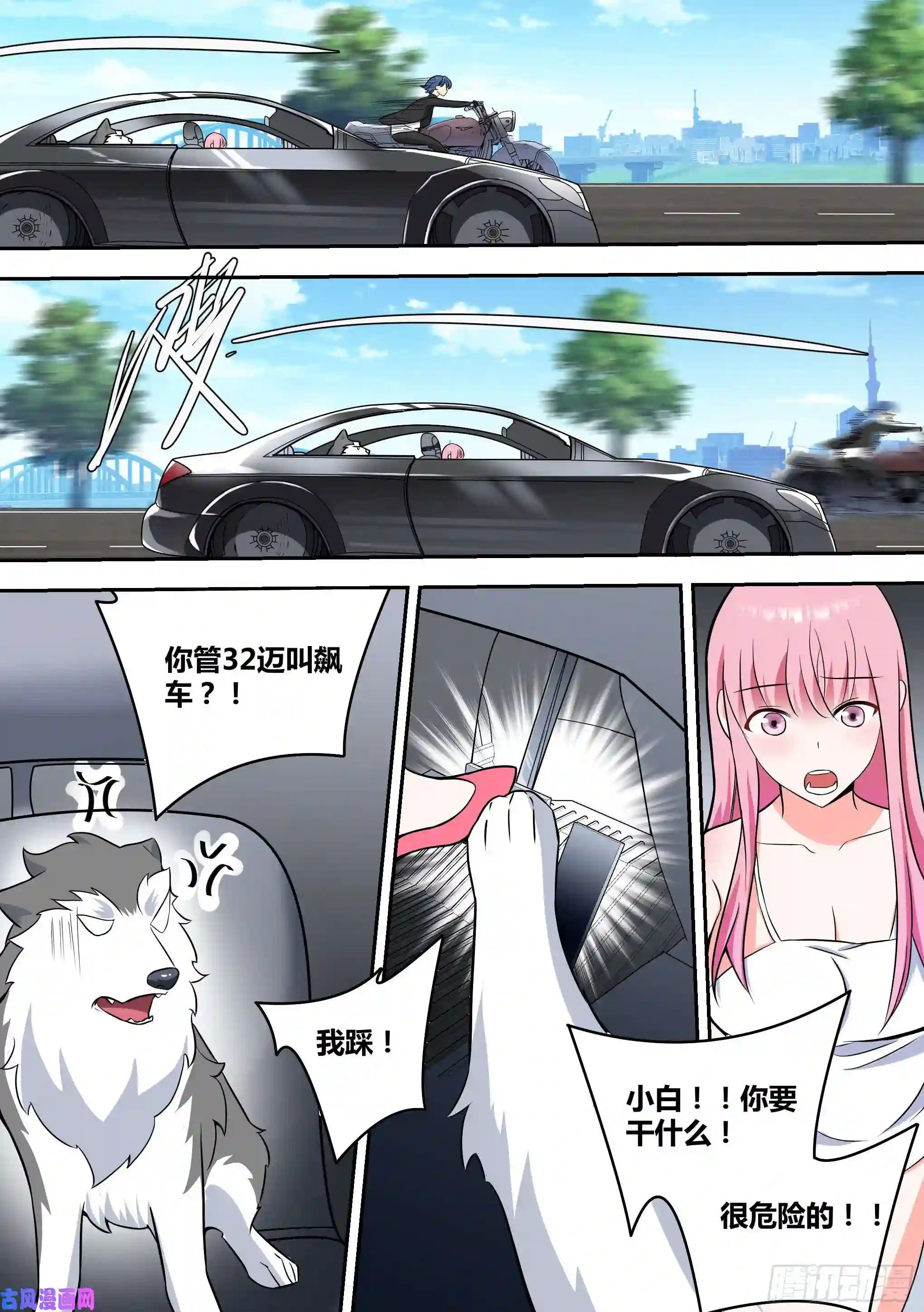 直播：女神家的哈士奇天秀63-话家探亲