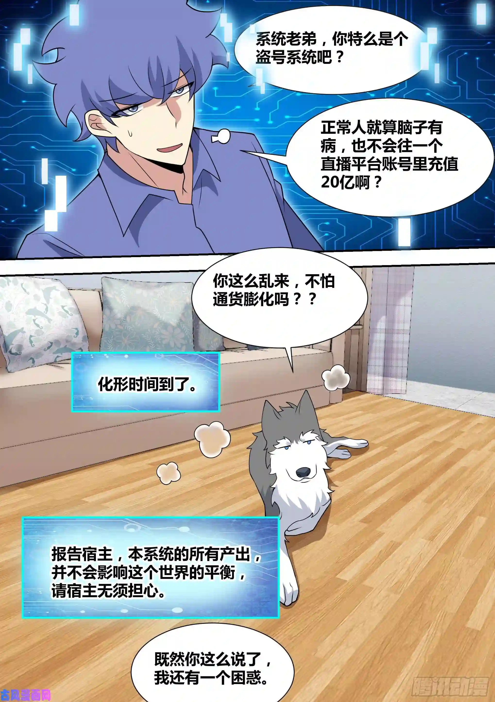 直播：女神家的哈士奇天秀66-疾风小白白