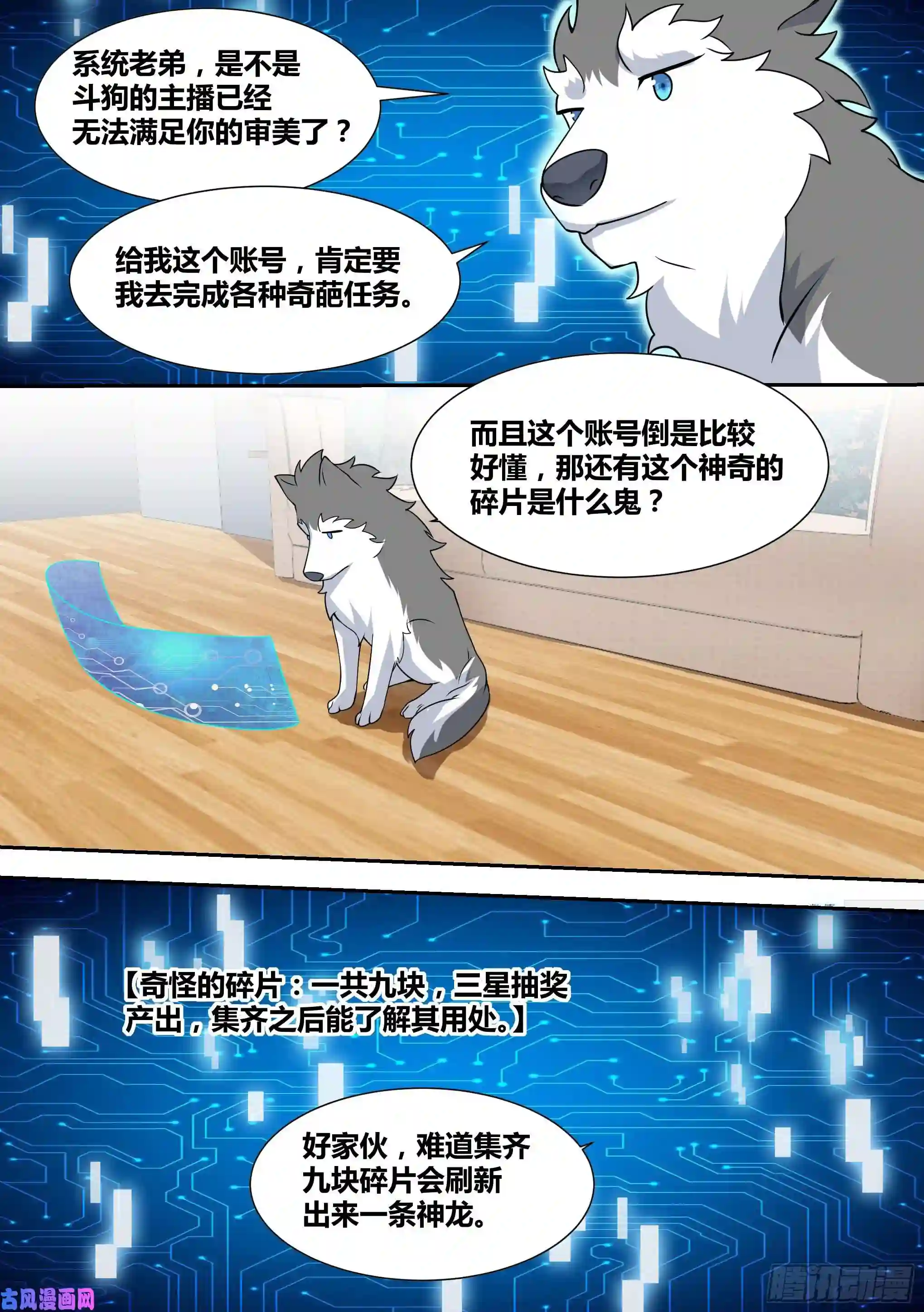 直播：女神家的哈士奇天秀66-疾风小白白