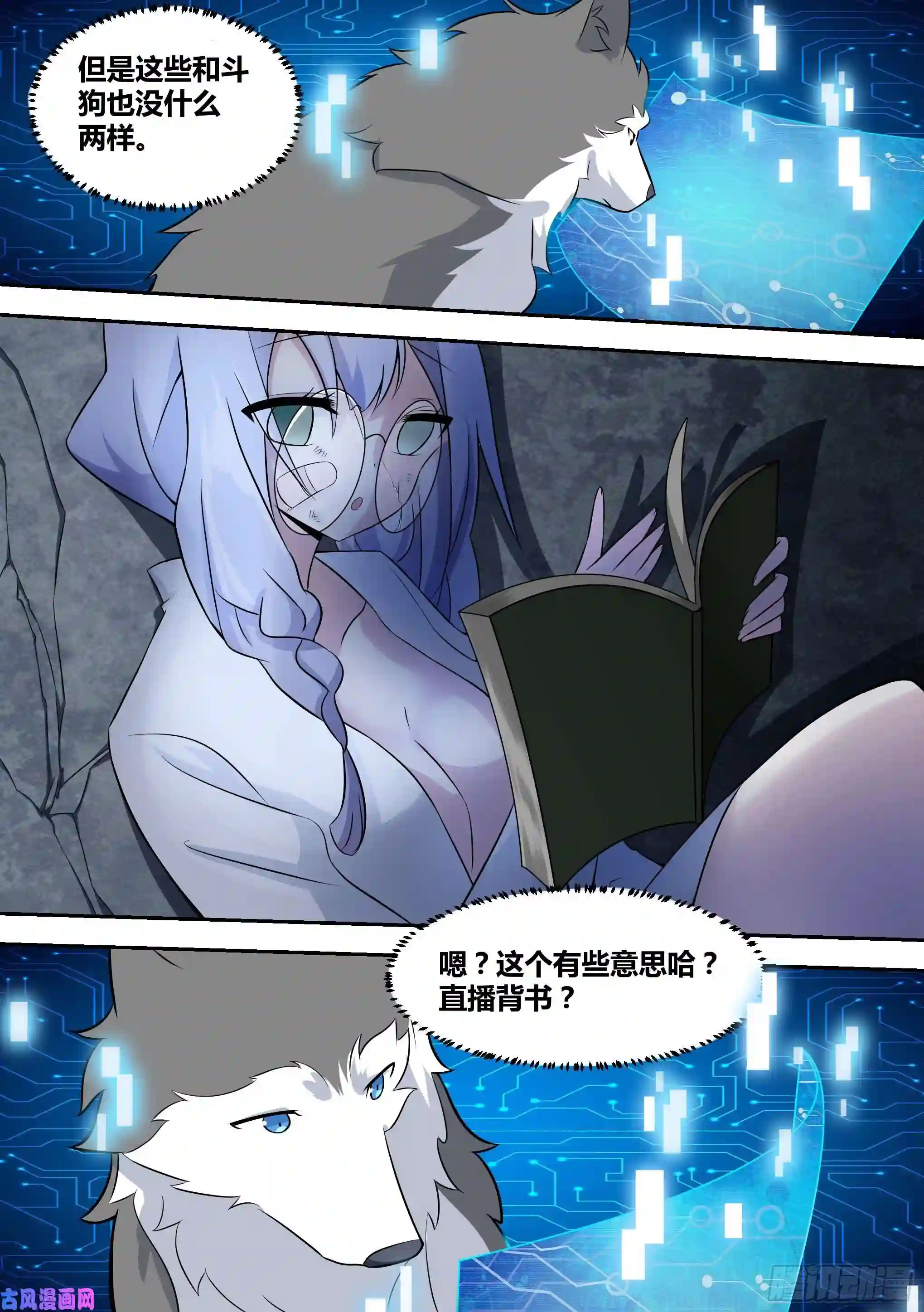 直播：女神家的哈士奇天秀66-疾风小白白