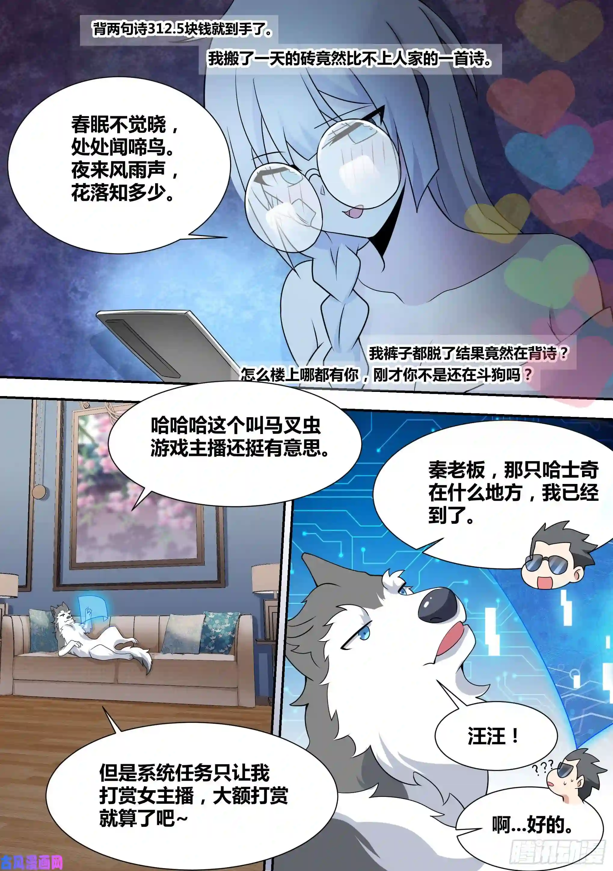 直播：女神家的哈士奇天秀67-汪汪！