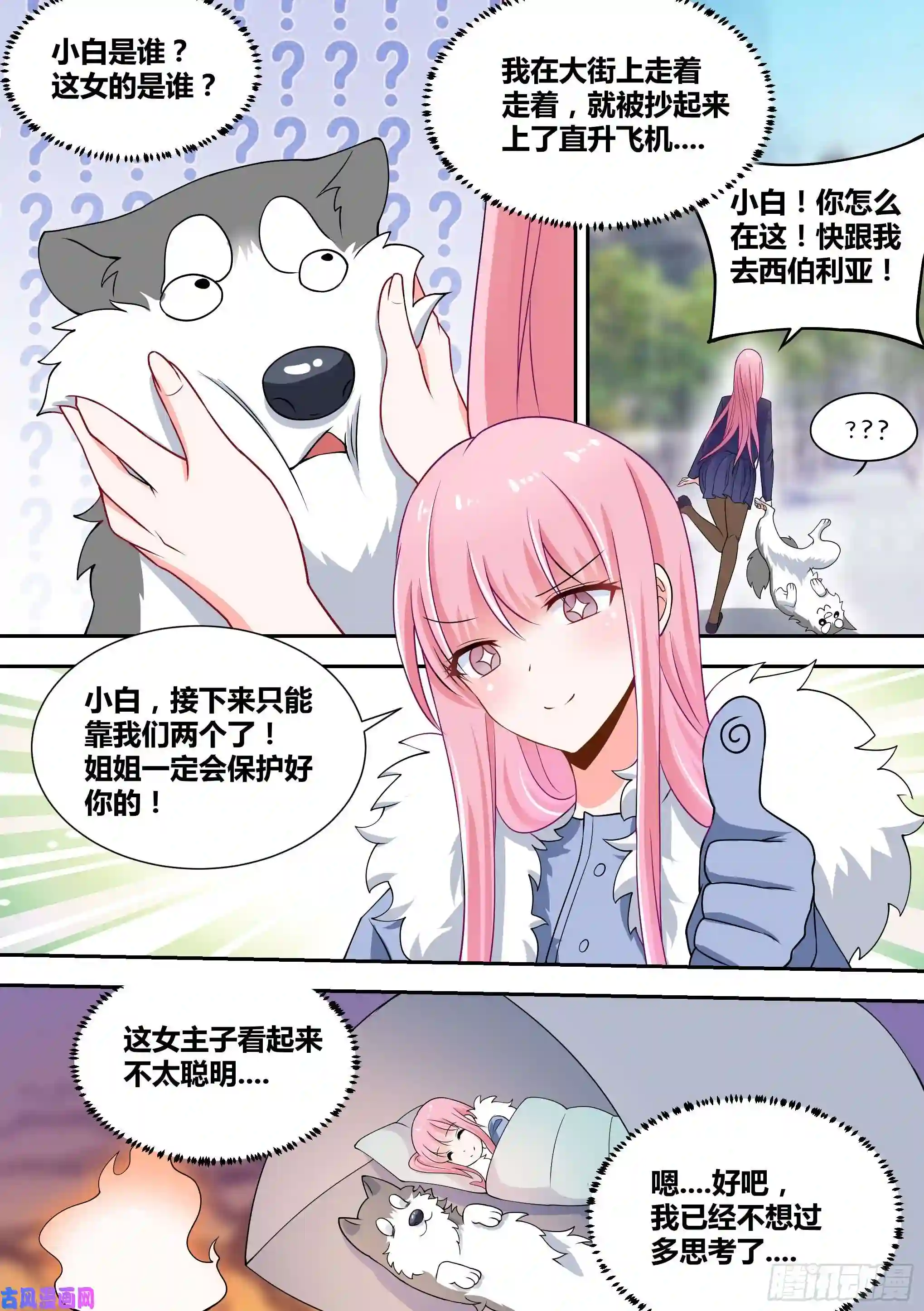 直播：女神家的哈士奇天秀73