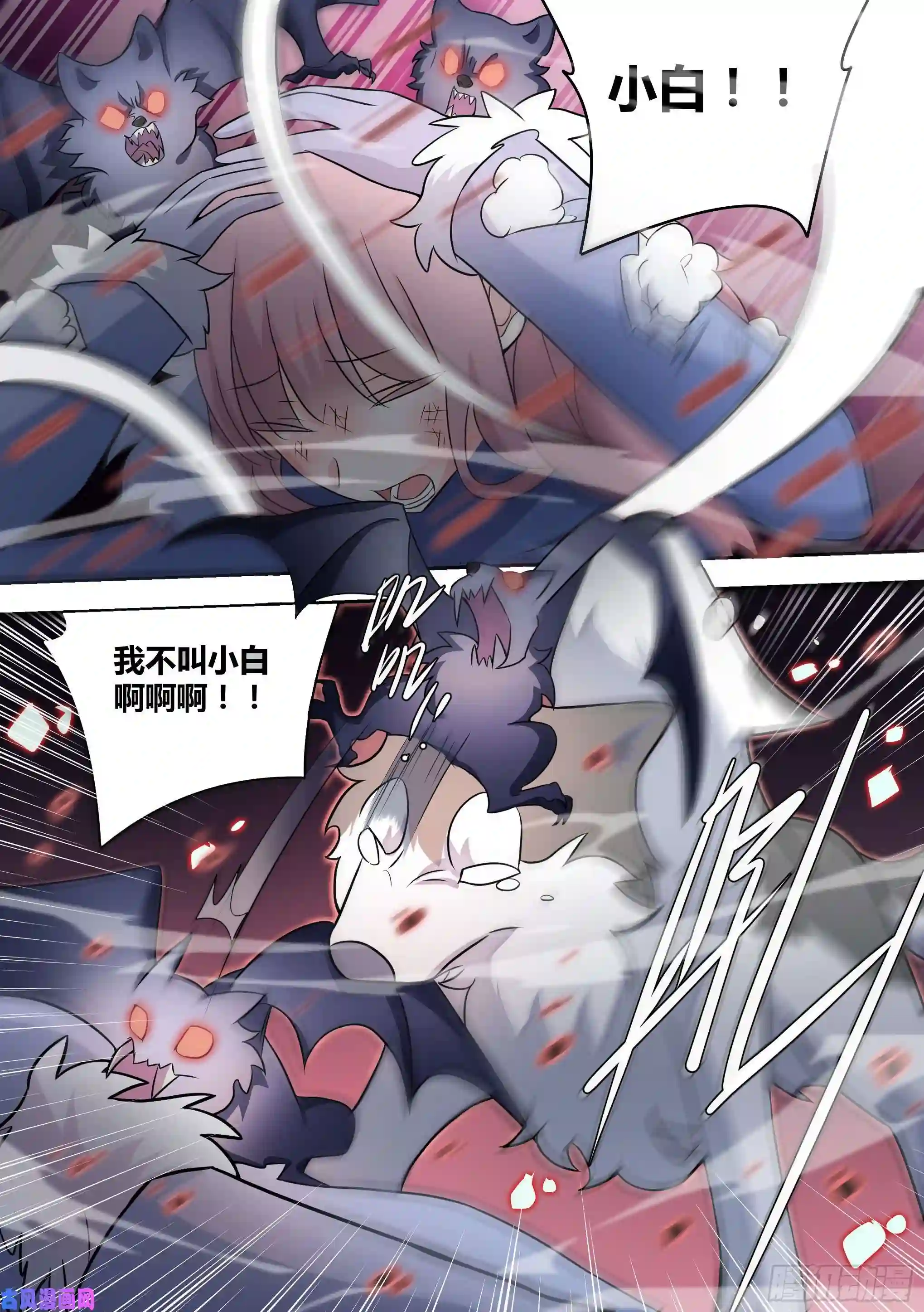 直播：女神家的哈士奇天秀73