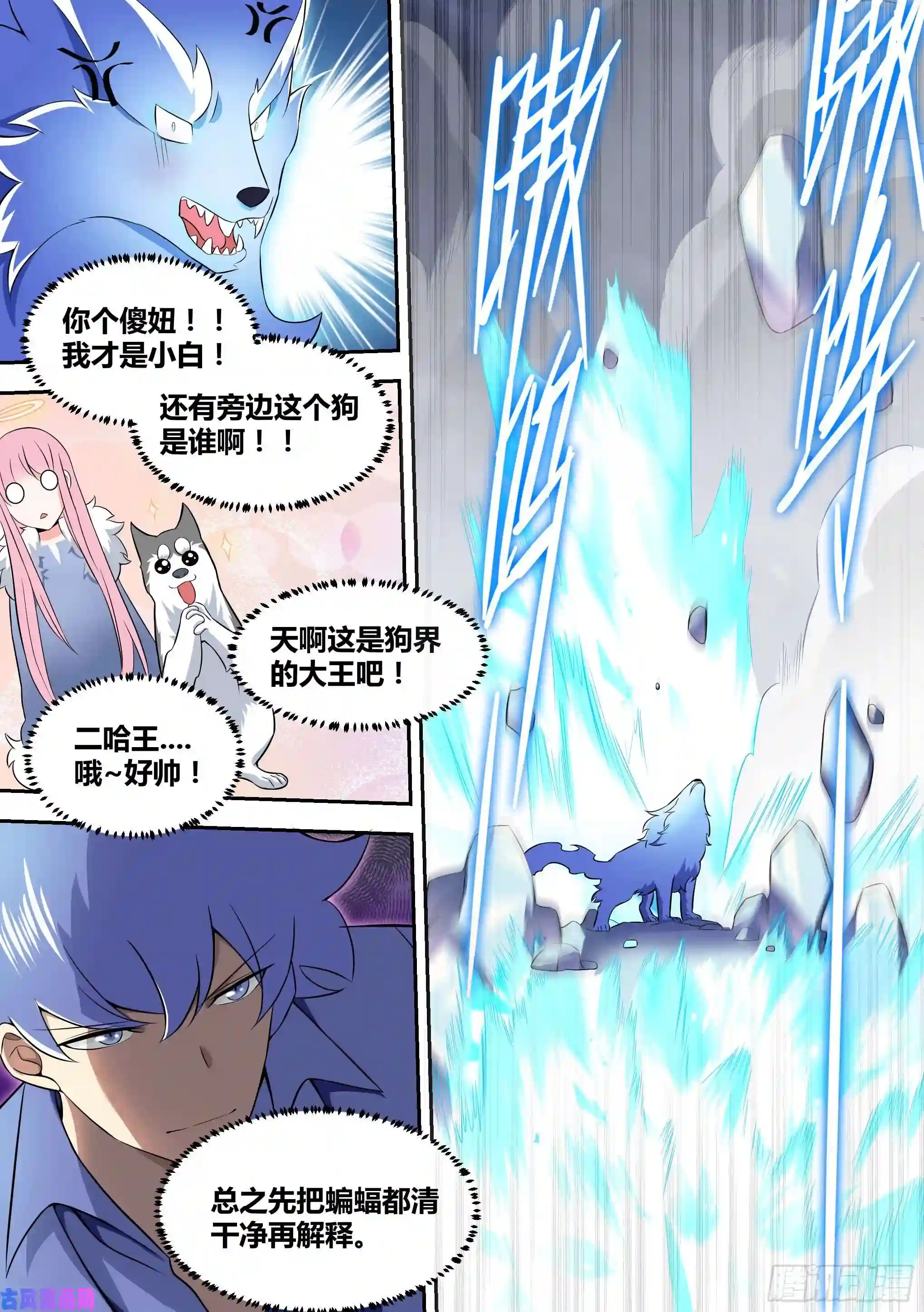 直播：女神家的哈士奇天秀74