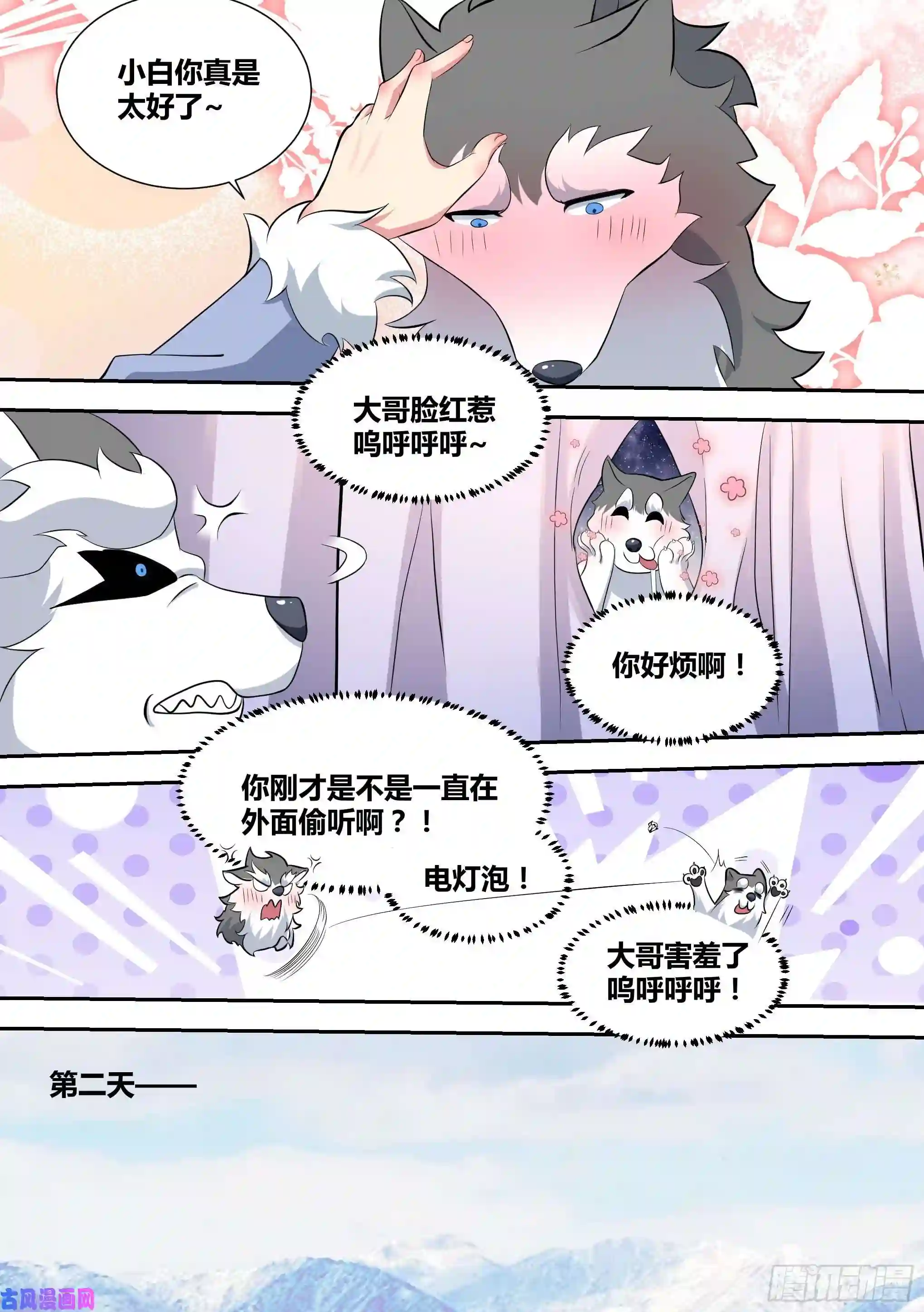 直播：女神家的哈士奇天秀75