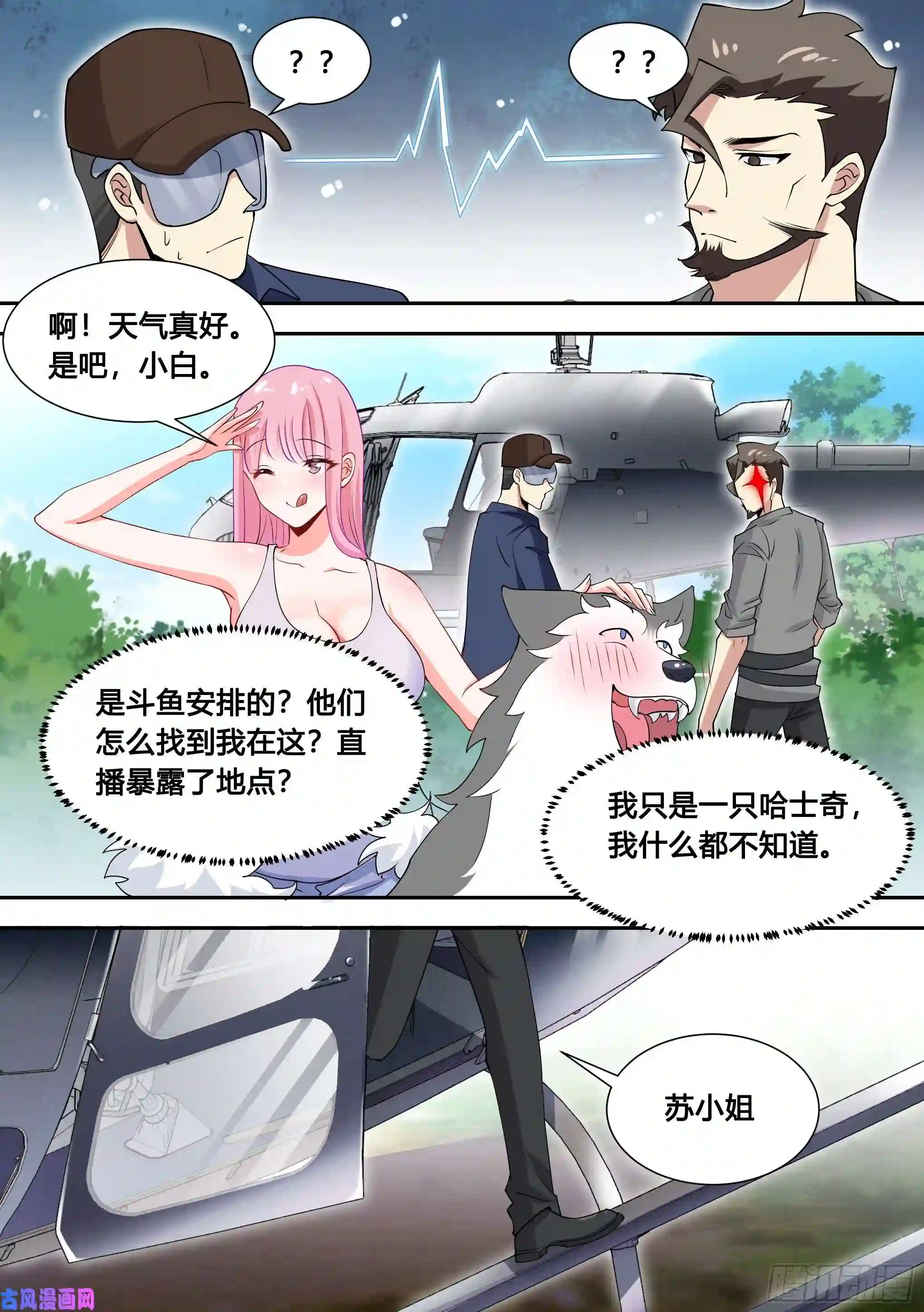 直播：女神家的哈士奇天秀81-给小白洗澡