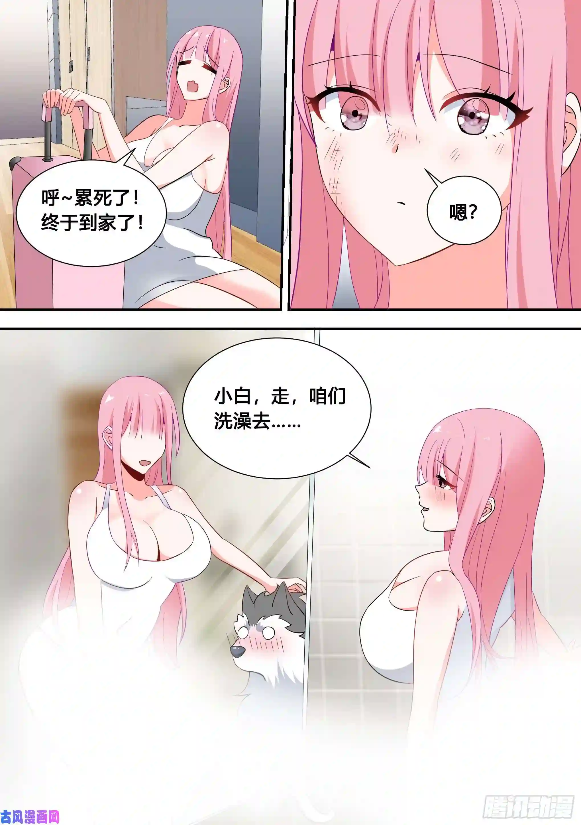 直播：女神家的哈士奇天秀81-给小白洗澡