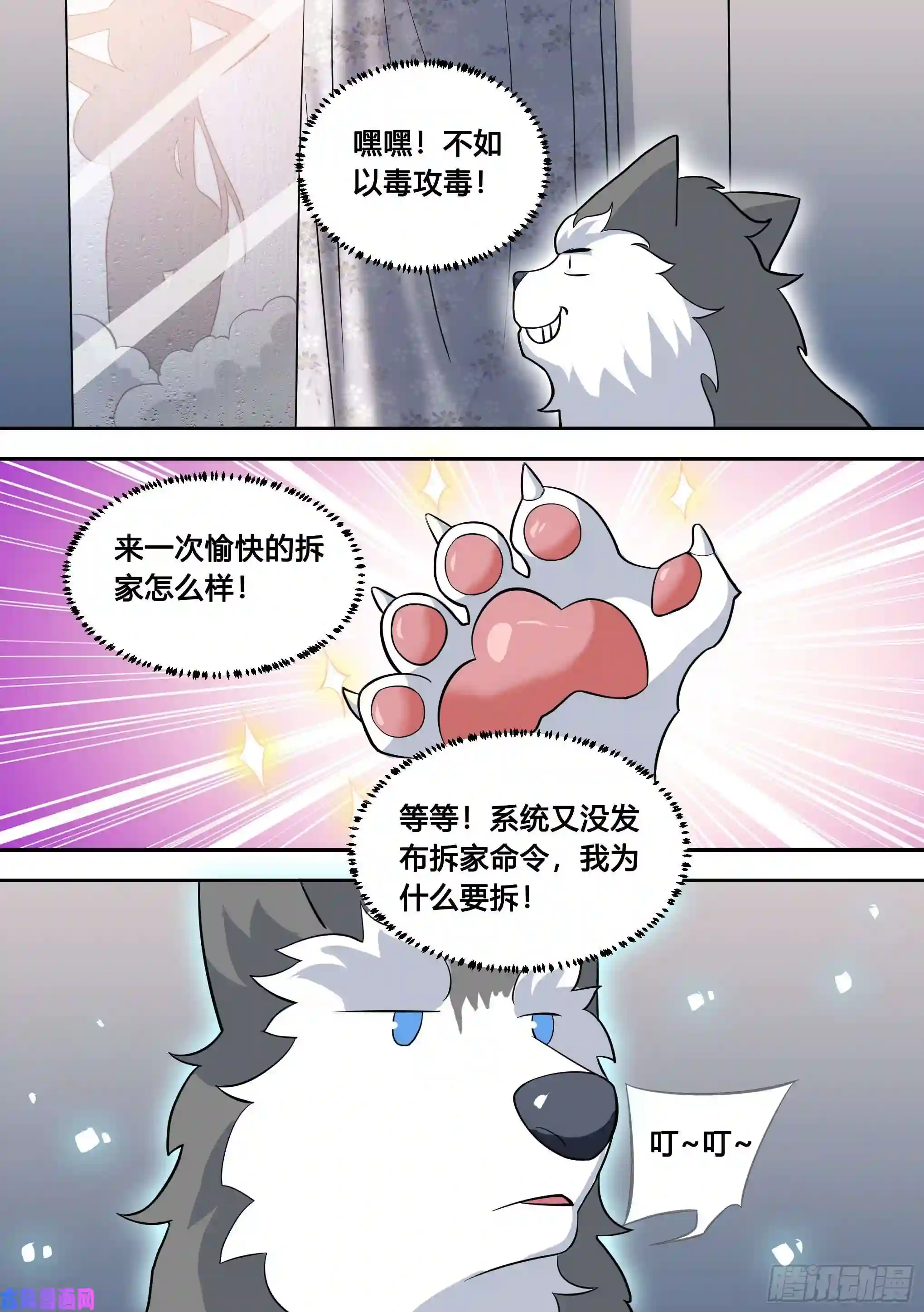 直播：女神家的哈士奇天秀81-给小白洗澡
