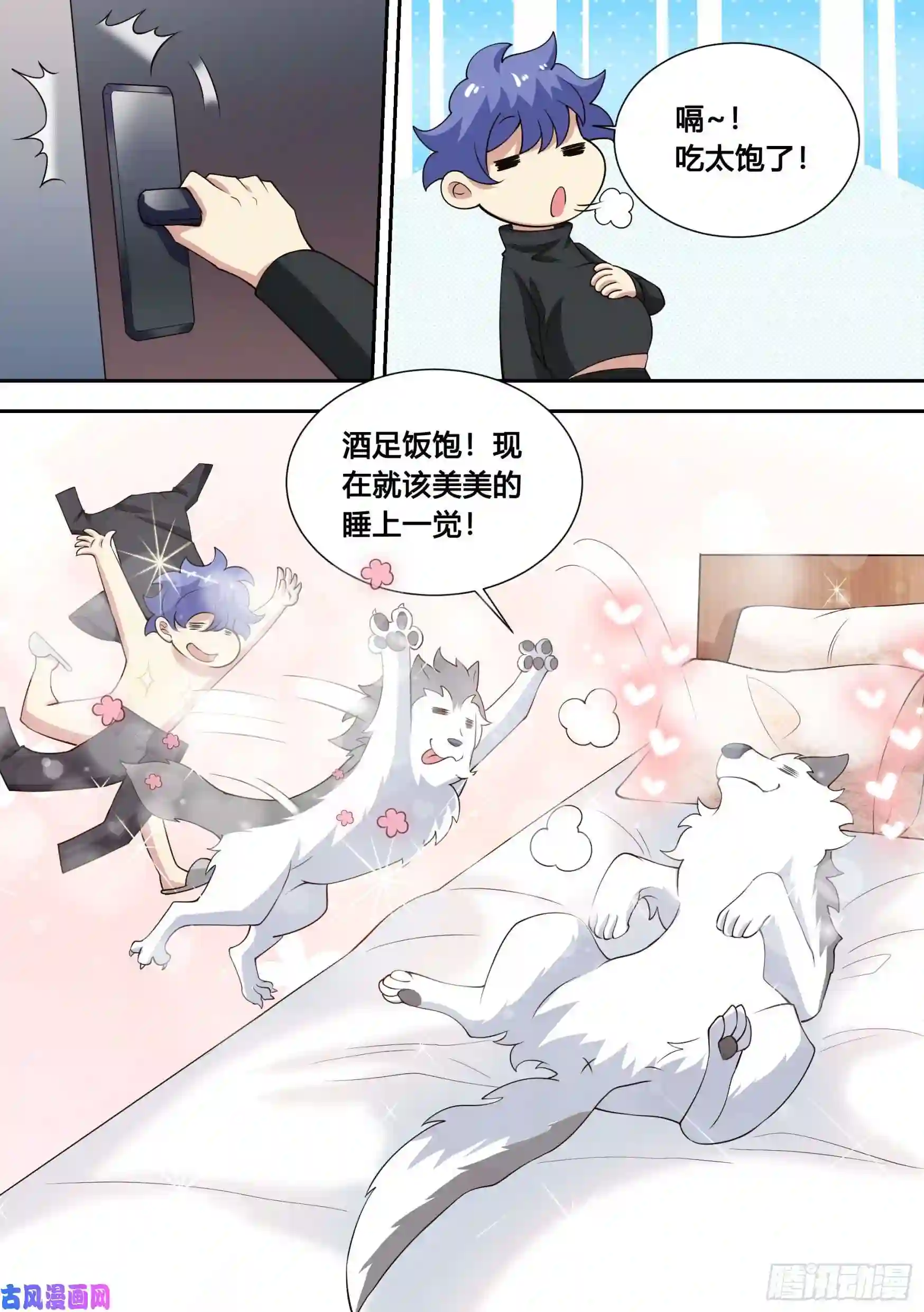 直播：女神家的哈士奇天秀82-秘密被发现？