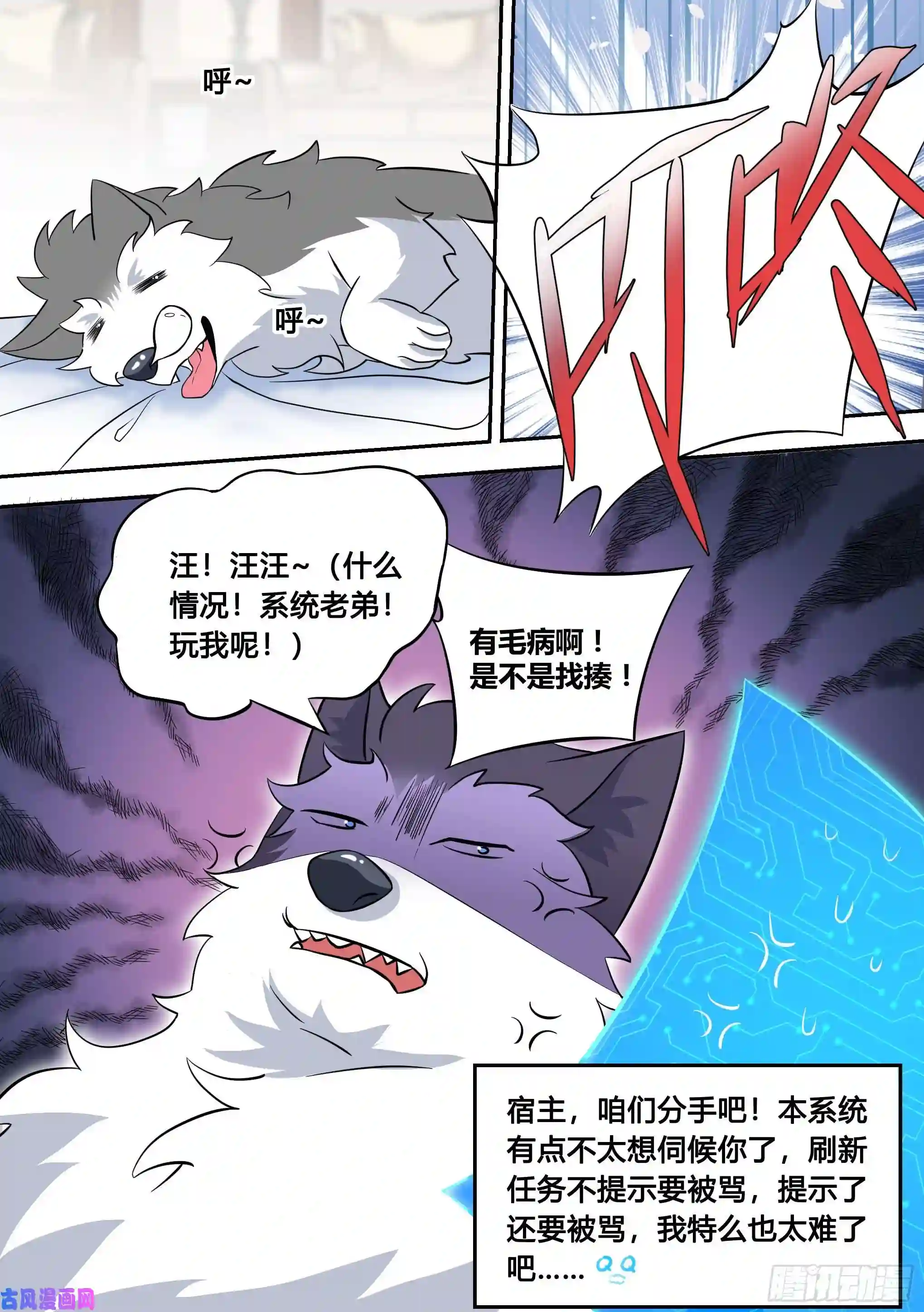 直播：女神家的哈士奇天秀82-秘密被发现？