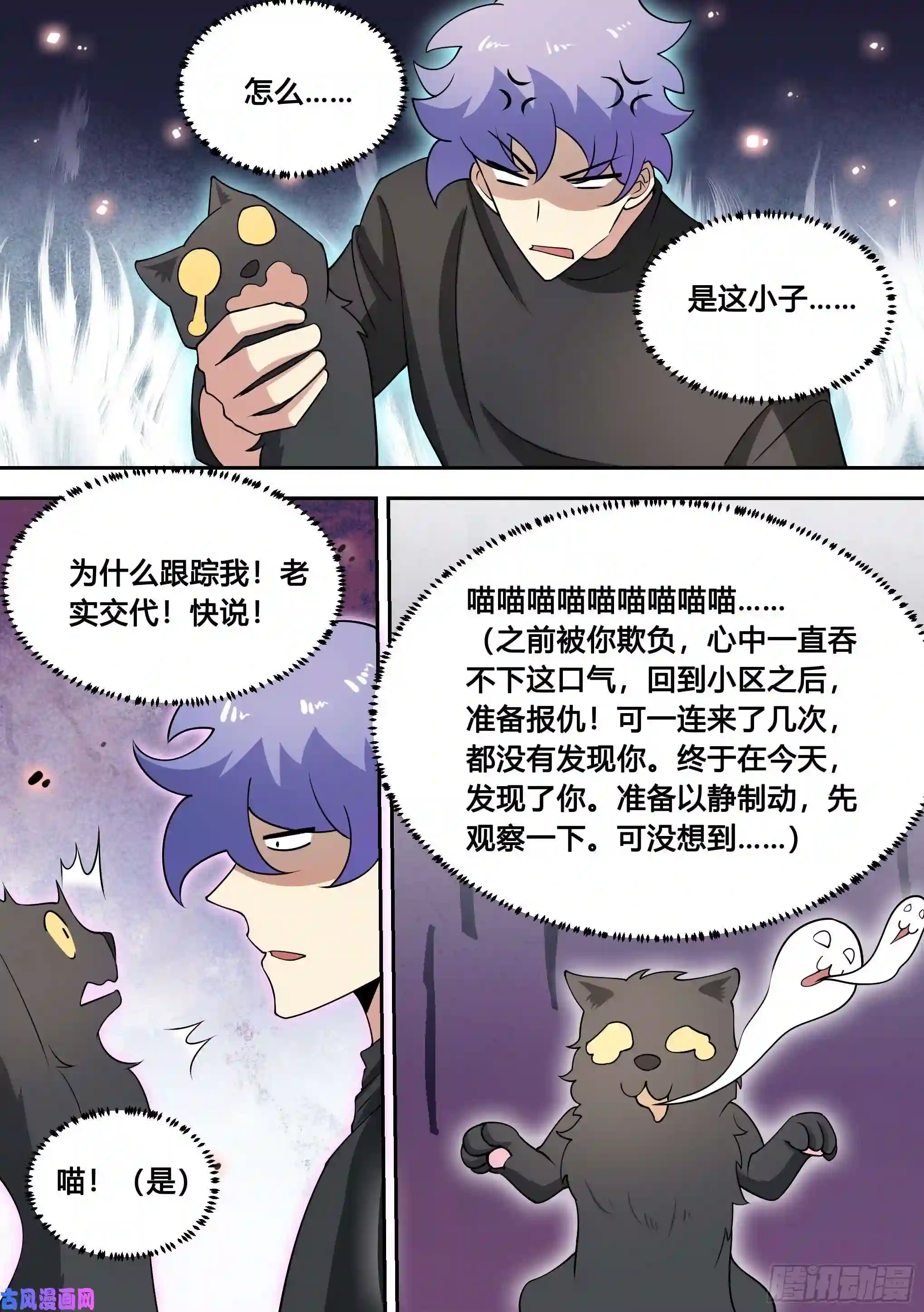 直播：女神家的哈士奇天秀82-秘密被发现？