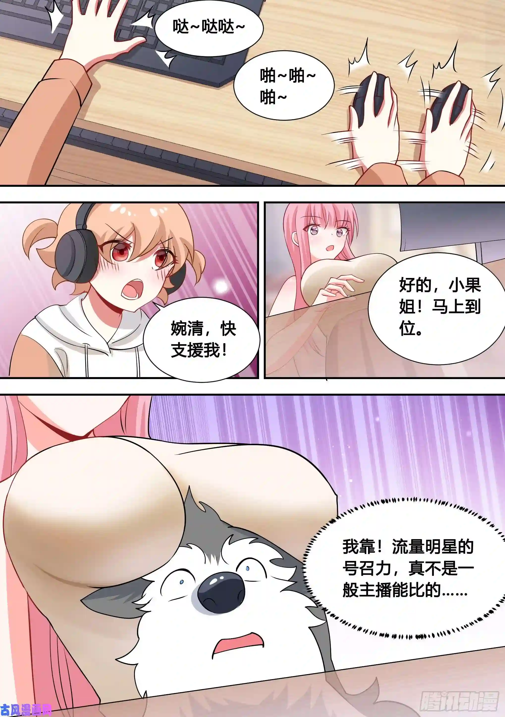 直播：女神家的哈士奇天秀86-我好像要上电视了