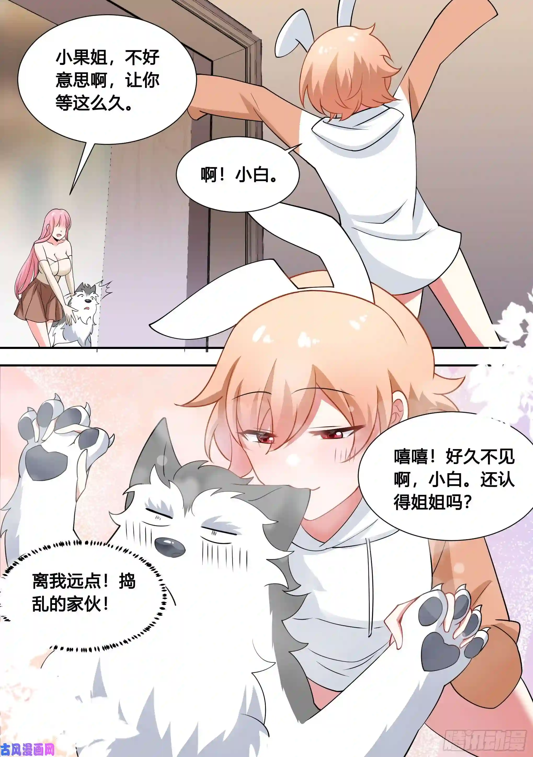 直播：女神家的哈士奇天秀86-我好像要上电视了