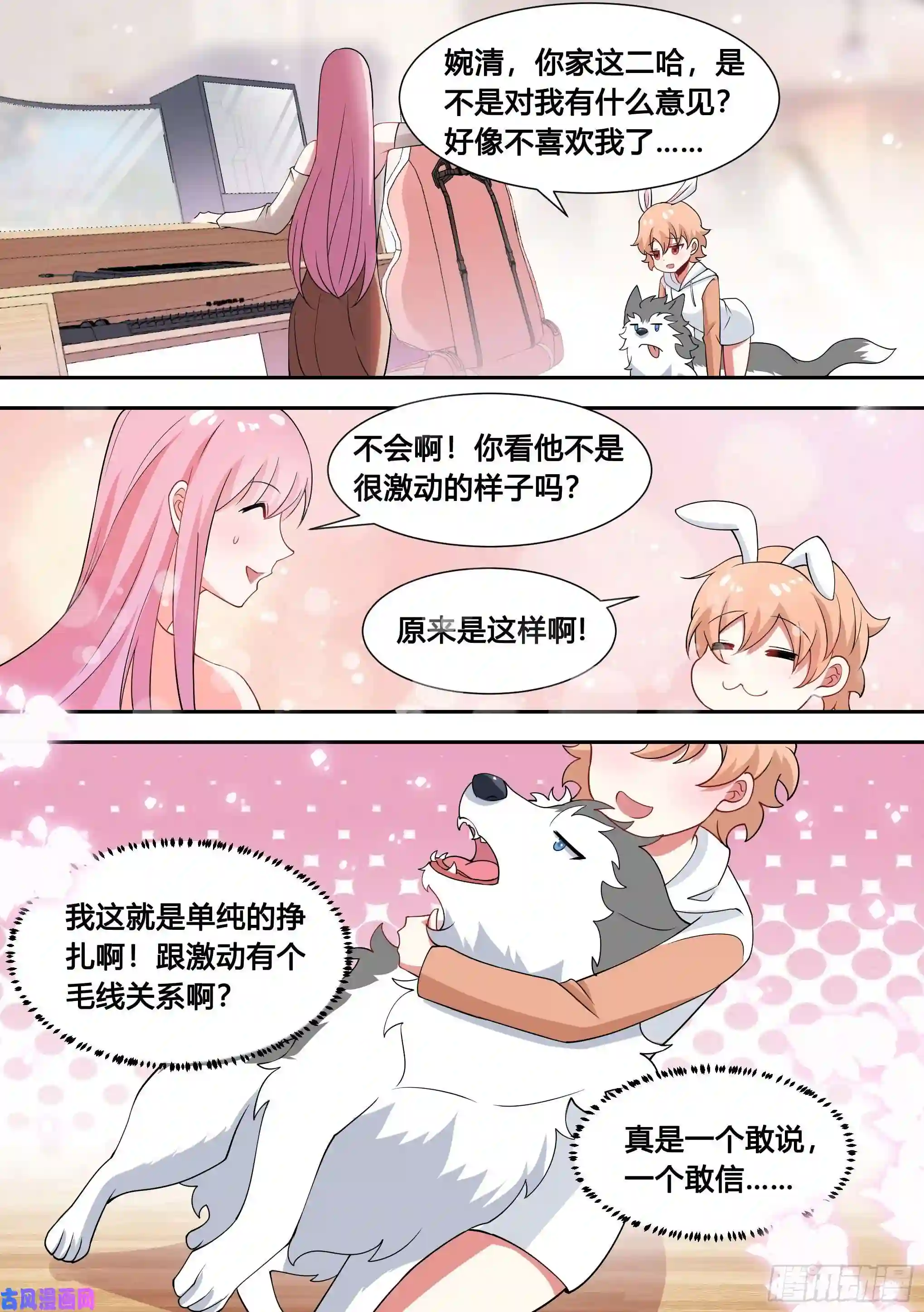 直播：女神家的哈士奇天秀86-我好像要上电视了