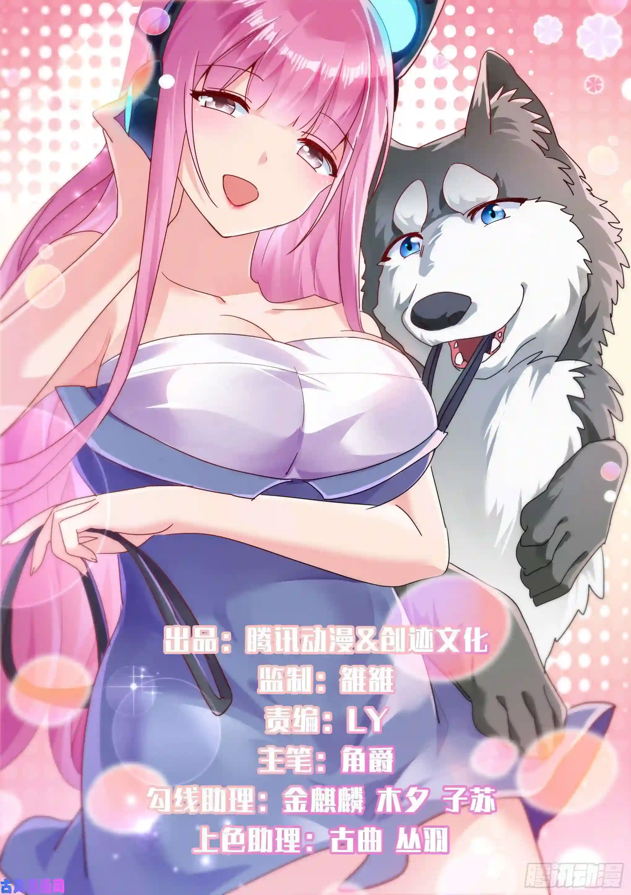 直播：女神家的哈士奇天秀87-二哈也要上学？