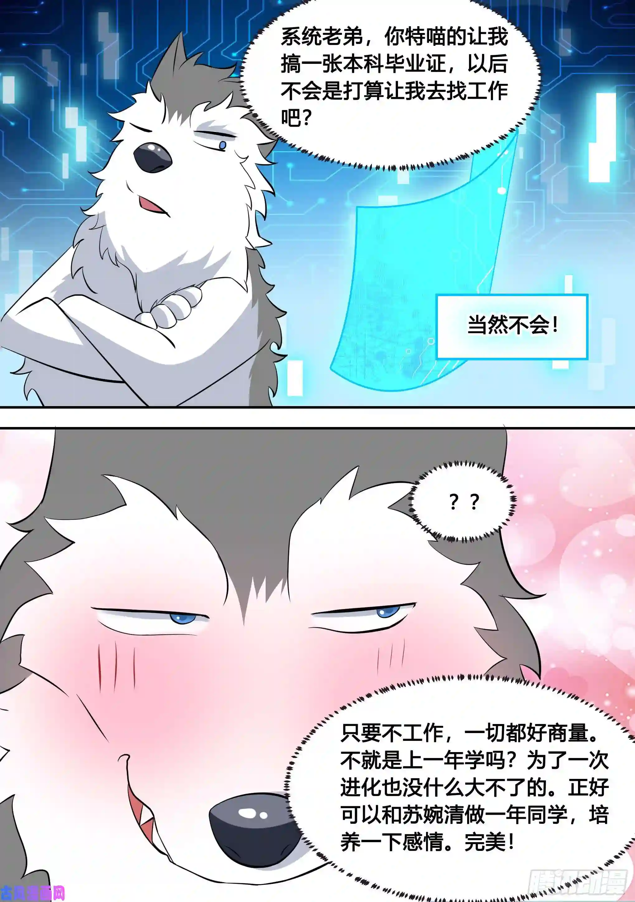 直播：女神家的哈士奇天秀87-二哈也要上学？