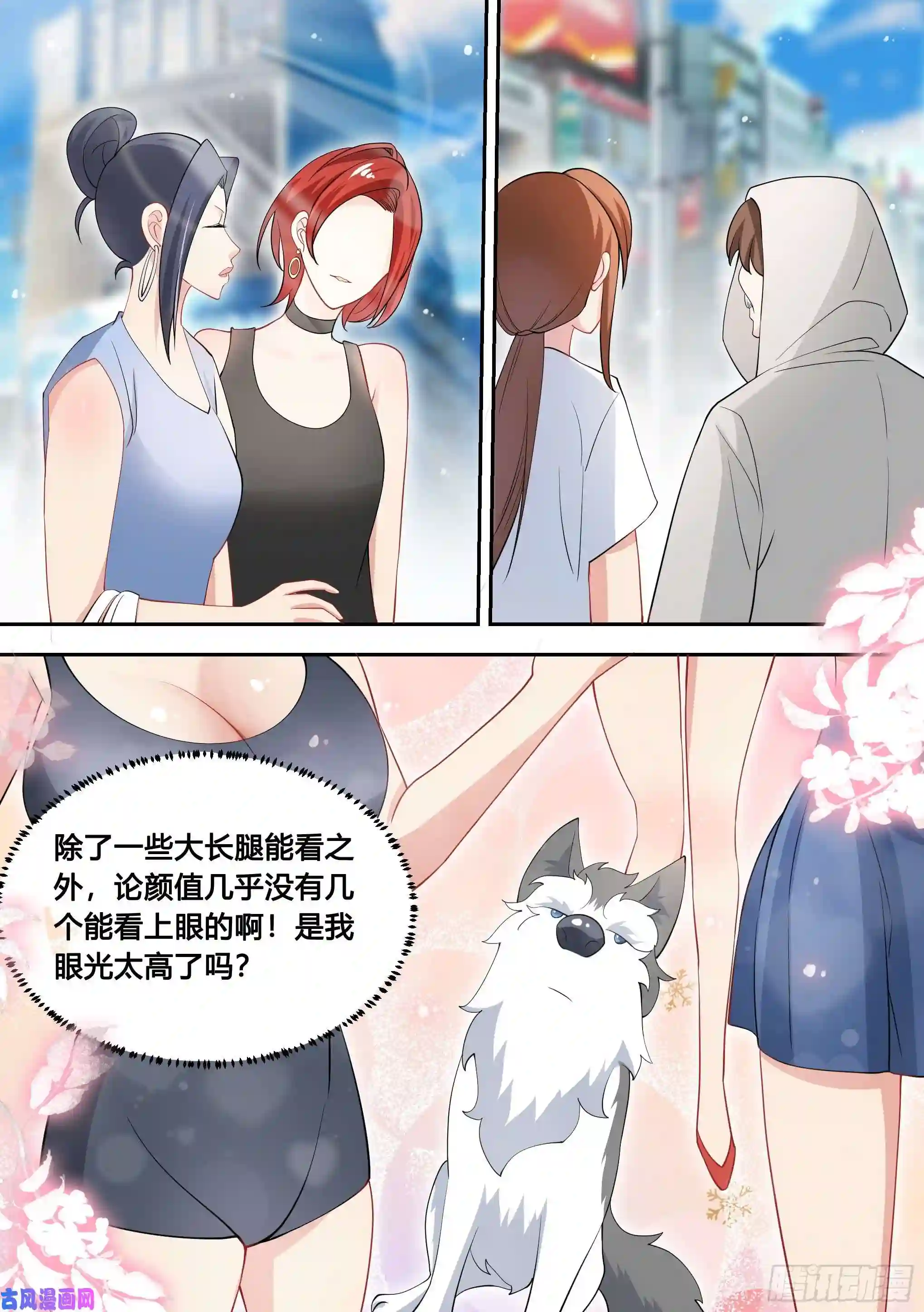 直播：女神家的哈士奇天秀87-二哈也要上学？