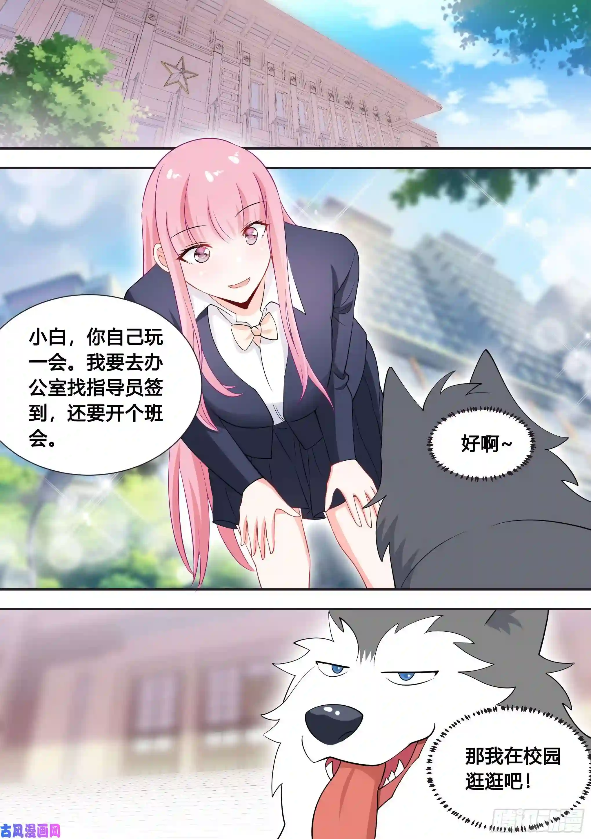 直播：女神家的哈士奇天秀87-二哈也要上学？