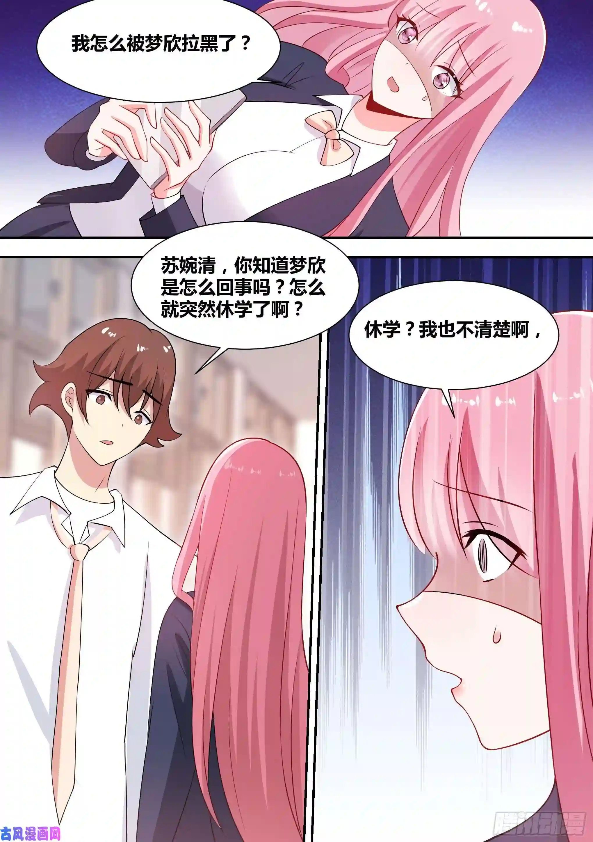 直播：女神家的哈士奇天秀88-美女出现！