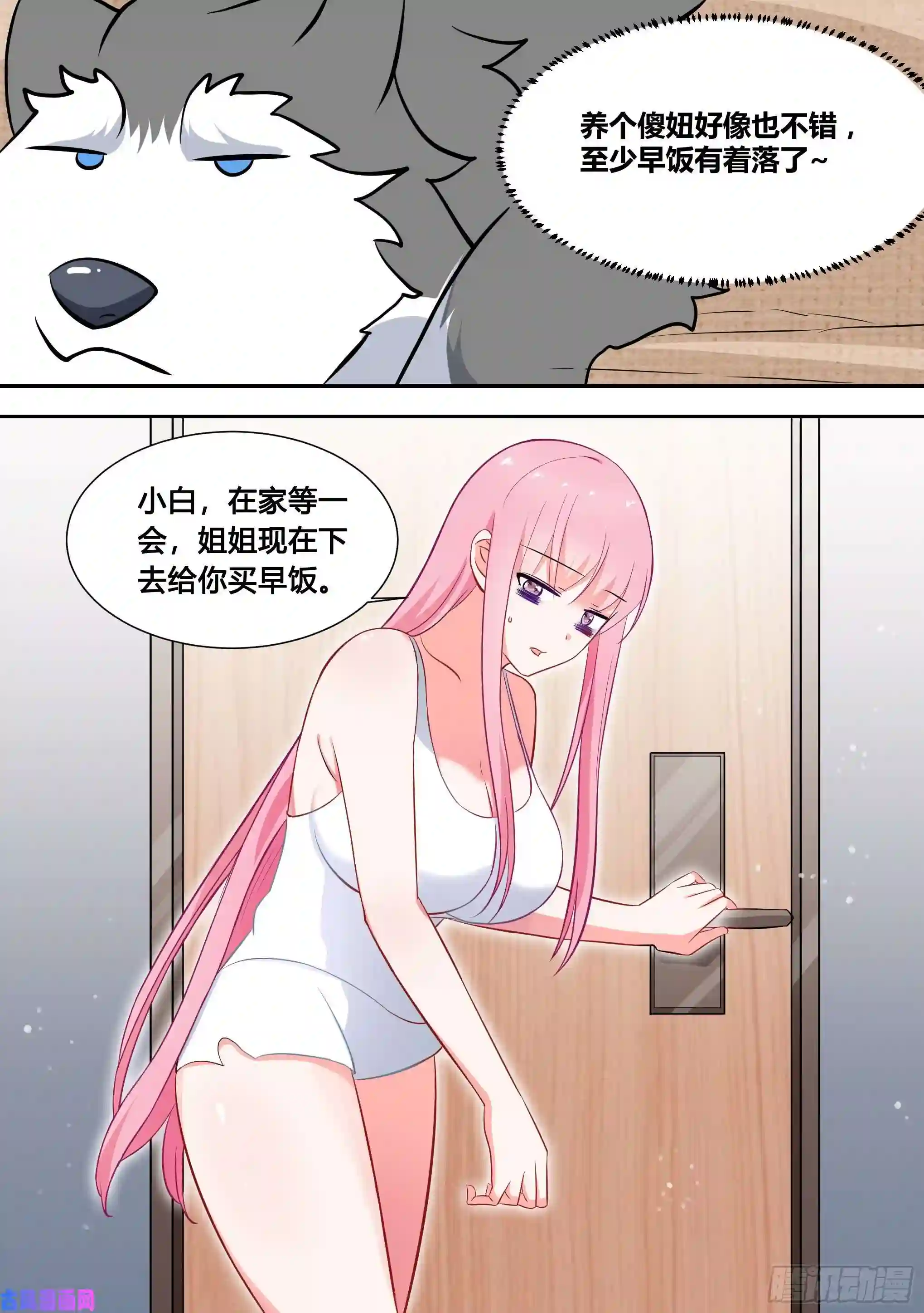 直播：女神家的哈士奇天秀90-素颜女神