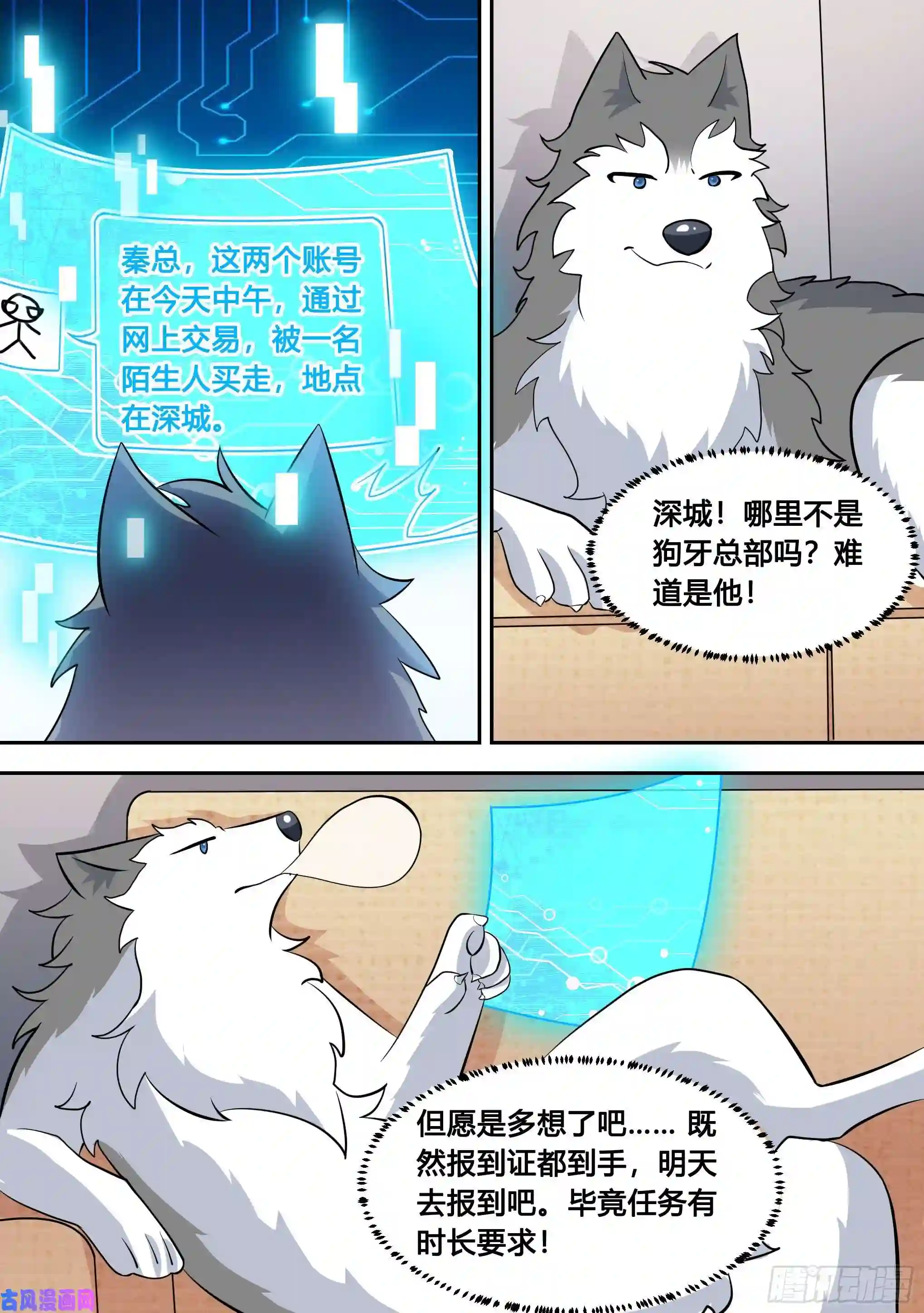 直播：女神家的哈士奇天秀90-素颜女神