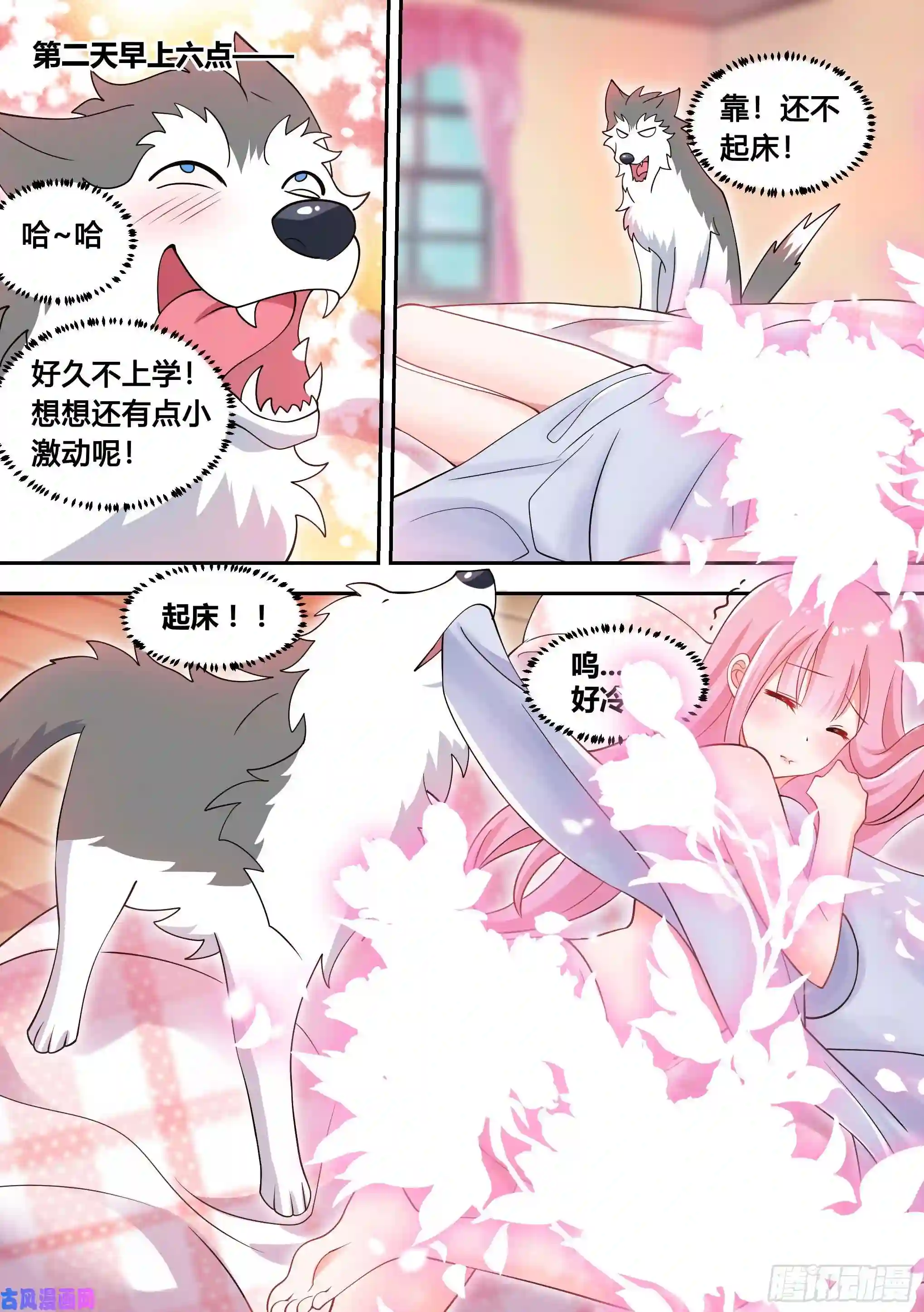 直播：女神家的哈士奇天秀90-素颜女神