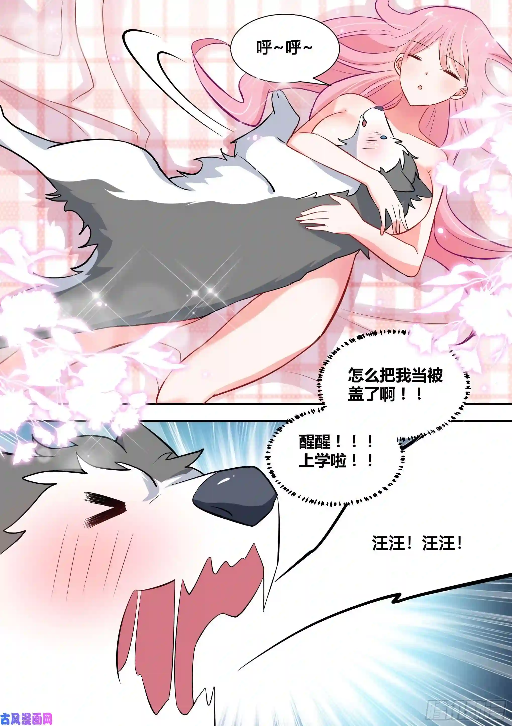 直播：女神家的哈士奇天秀90-素颜女神