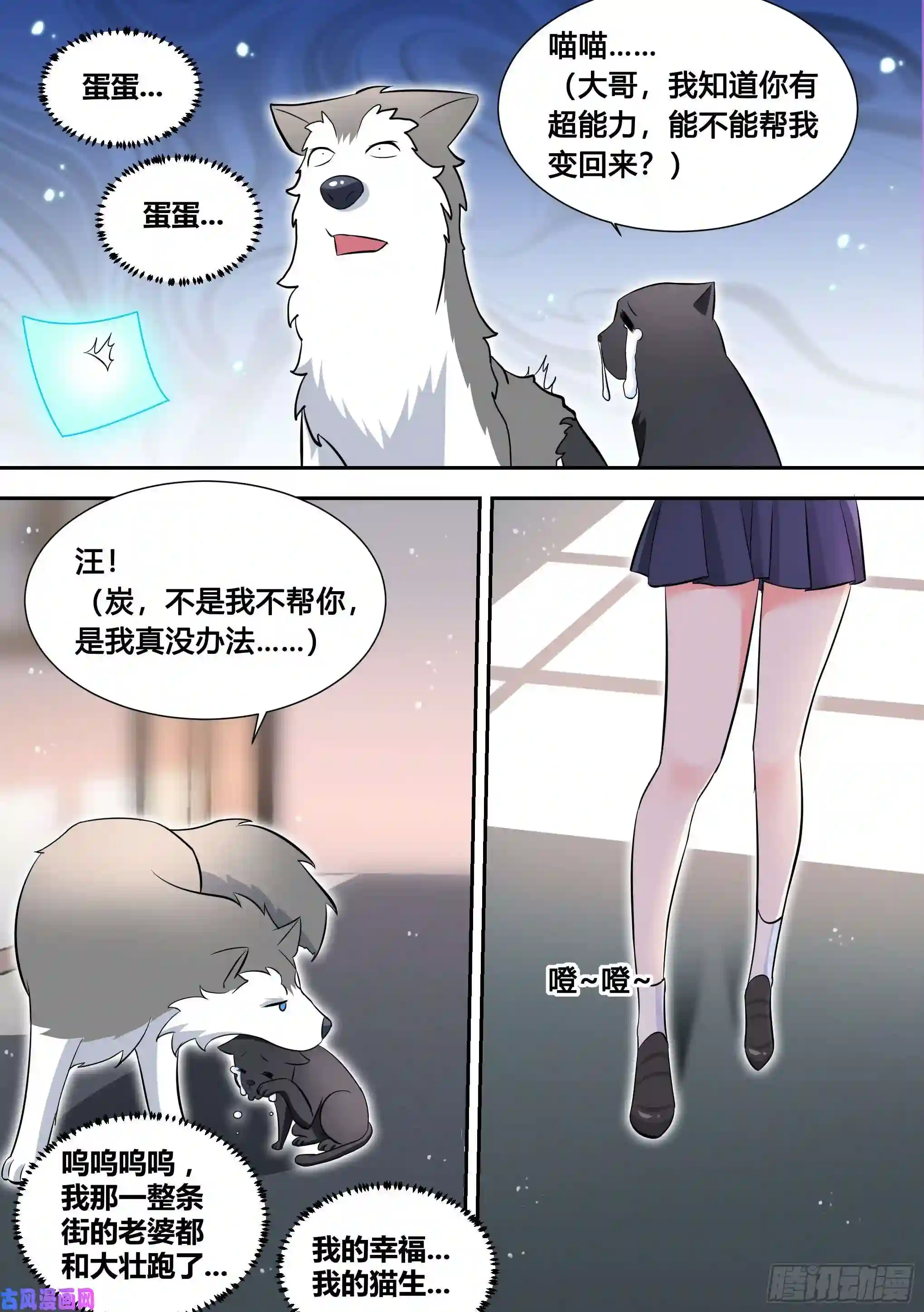 直播：女神家的哈士奇天秀95-这门亲事我不同意！