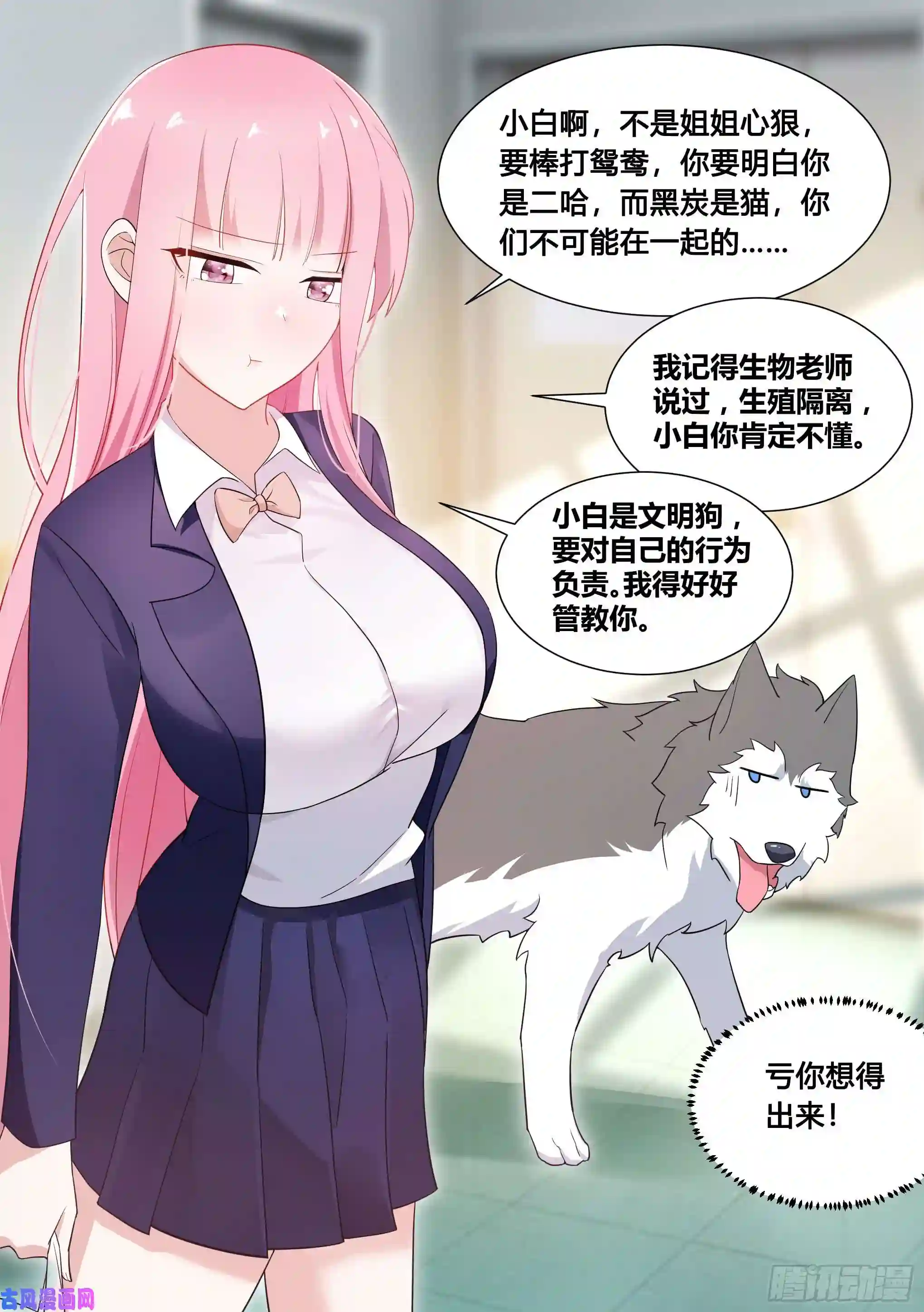 直播：女神家的哈士奇天秀96-小恶魔cosplay