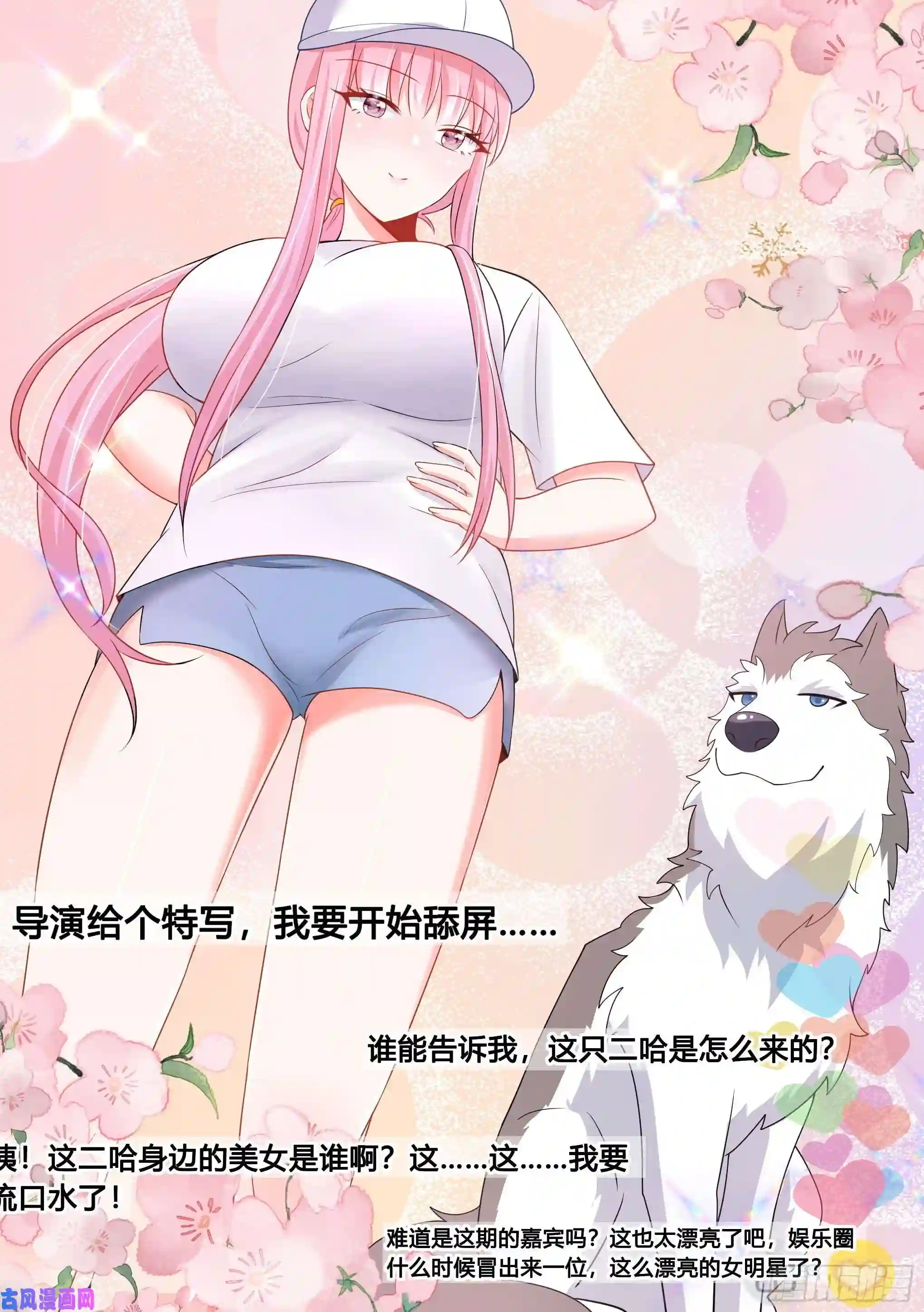 直播：女神家的哈士奇天秀98-我上电视啦