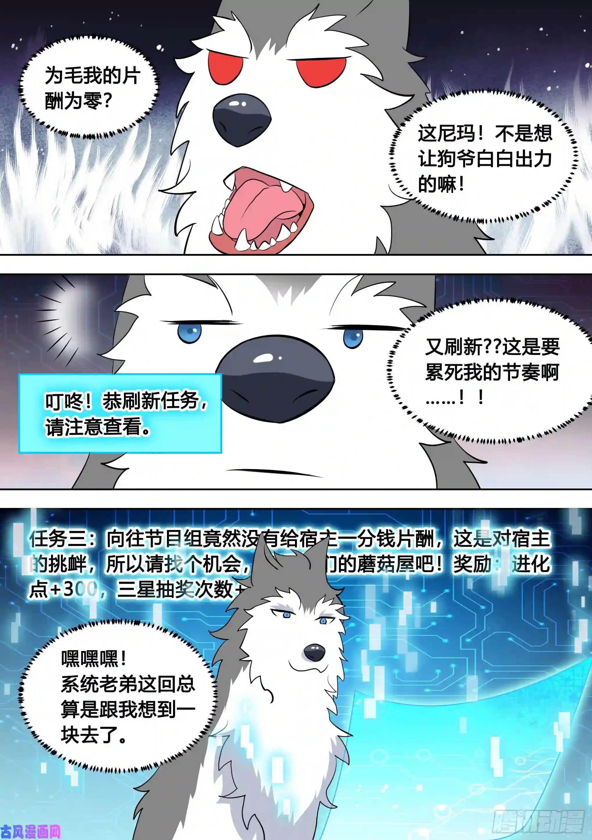 直播：女神家的哈士奇天秀98-我上电视啦