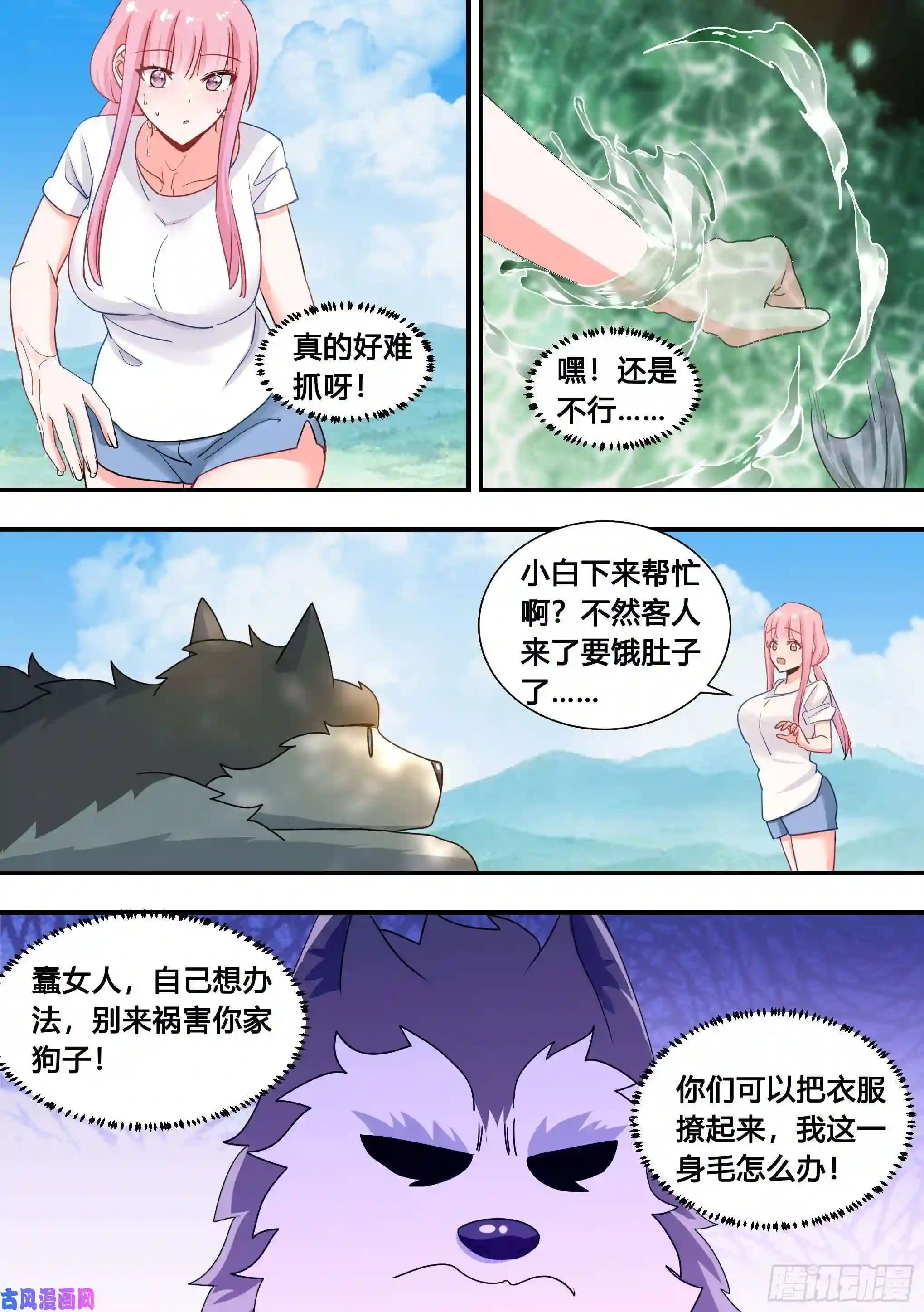 直播：女神家的哈士奇天秀100-还得看我家小白