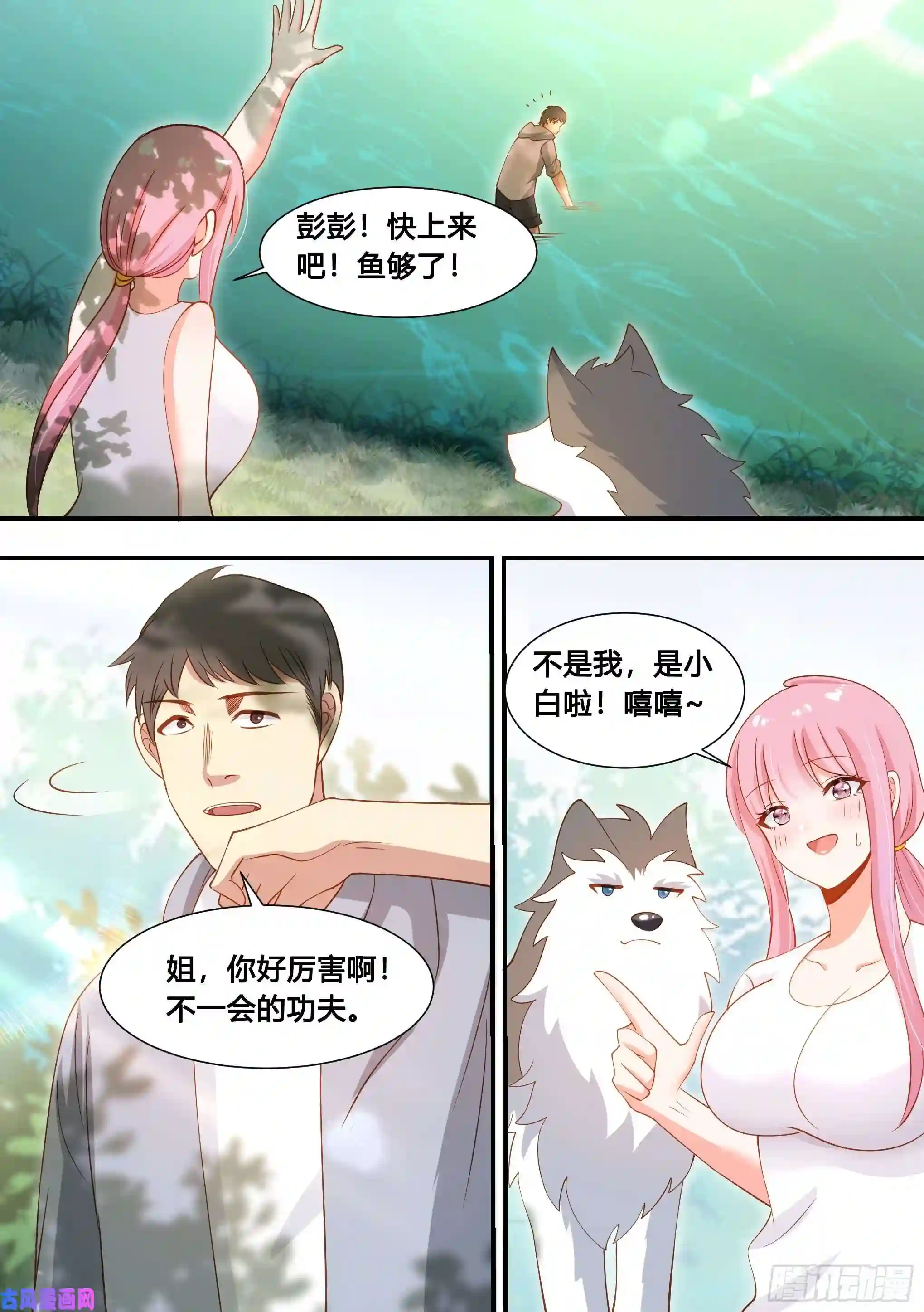 直播：女神家的哈士奇天秀100-还得看我家小白