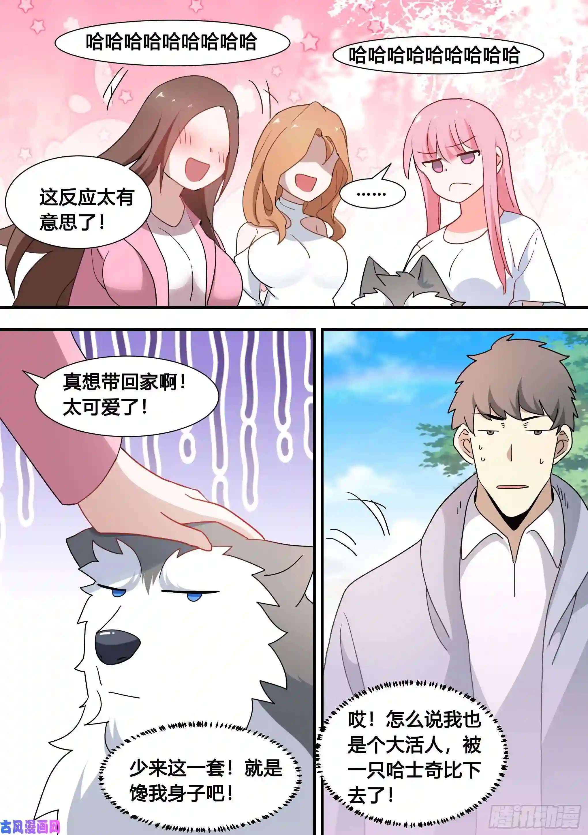 直播：女神家的哈士奇天秀101-农民生活开启！