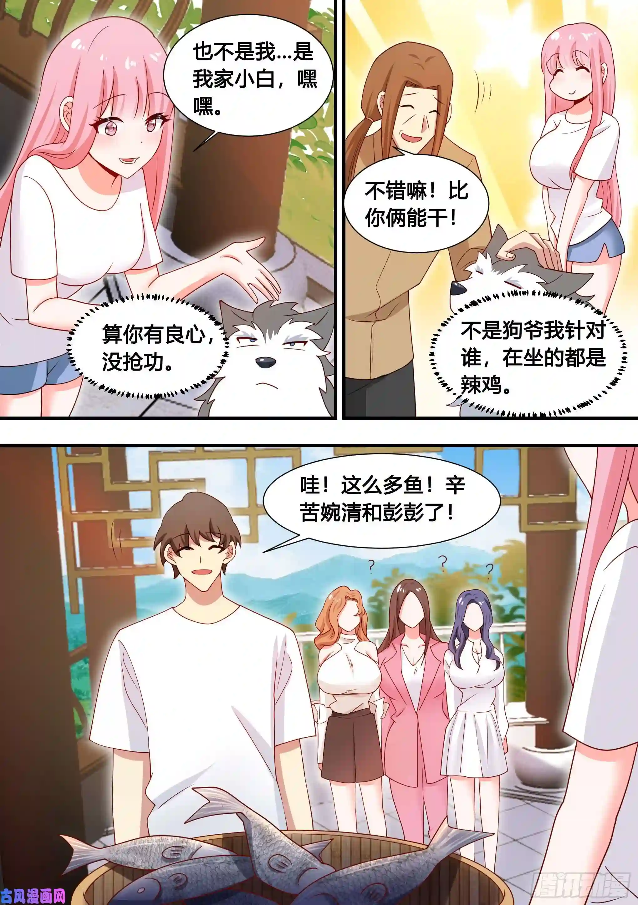 直播：女神家的哈士奇天秀101-农民生活开启！