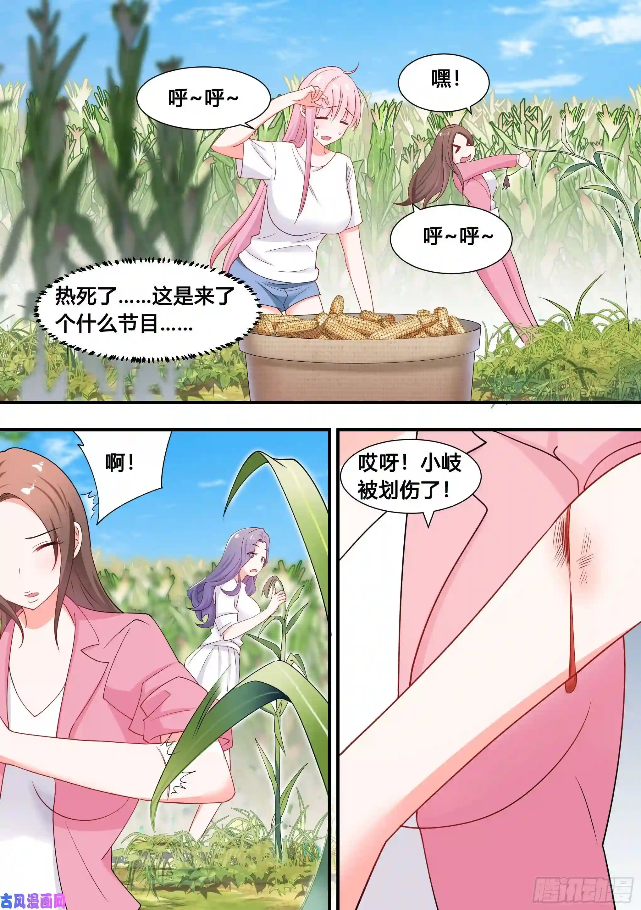 直播：女神家的哈士奇天秀102-没有感情的玉米粉碎机