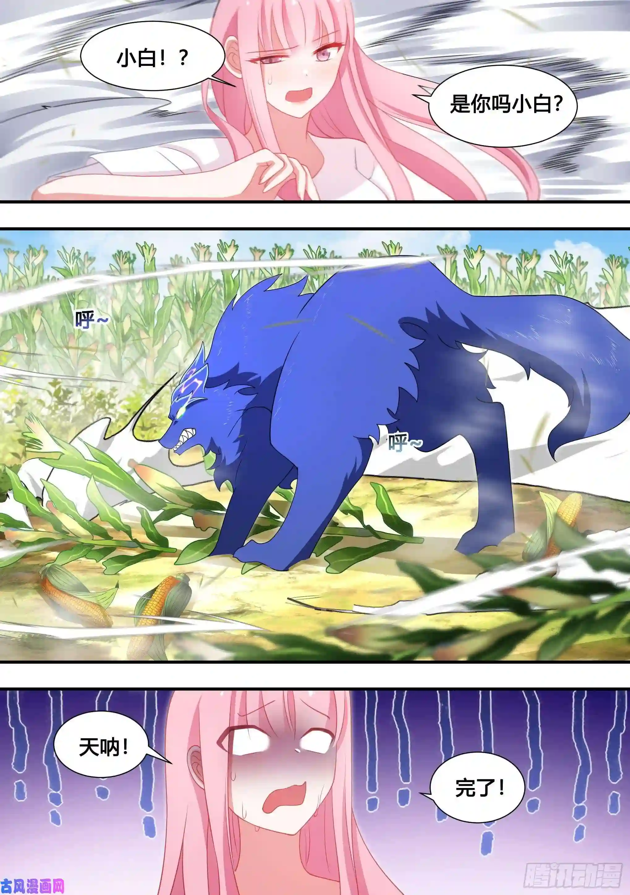 直播：女神家的哈士奇天秀102-没有感情的玉米粉碎机