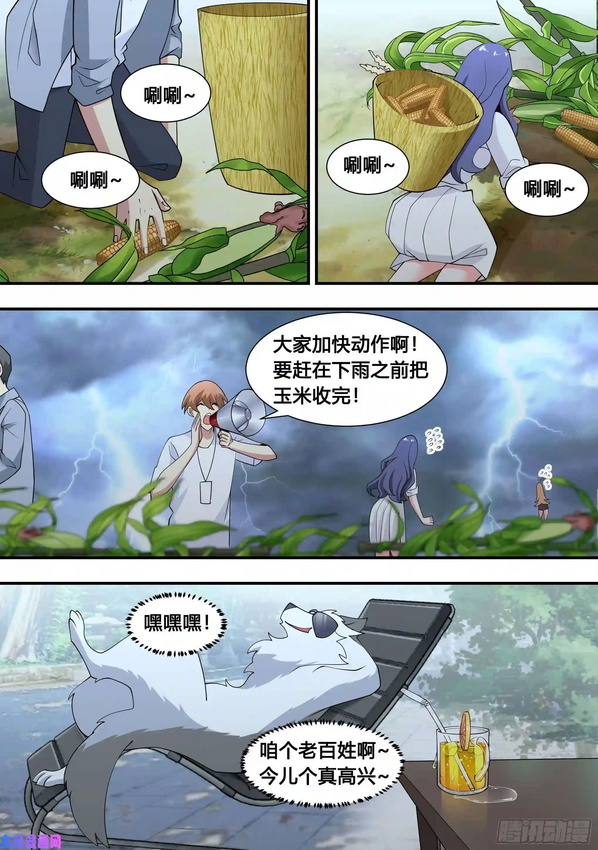 直播：女神家的哈士奇天秀103-心机小白拆家计