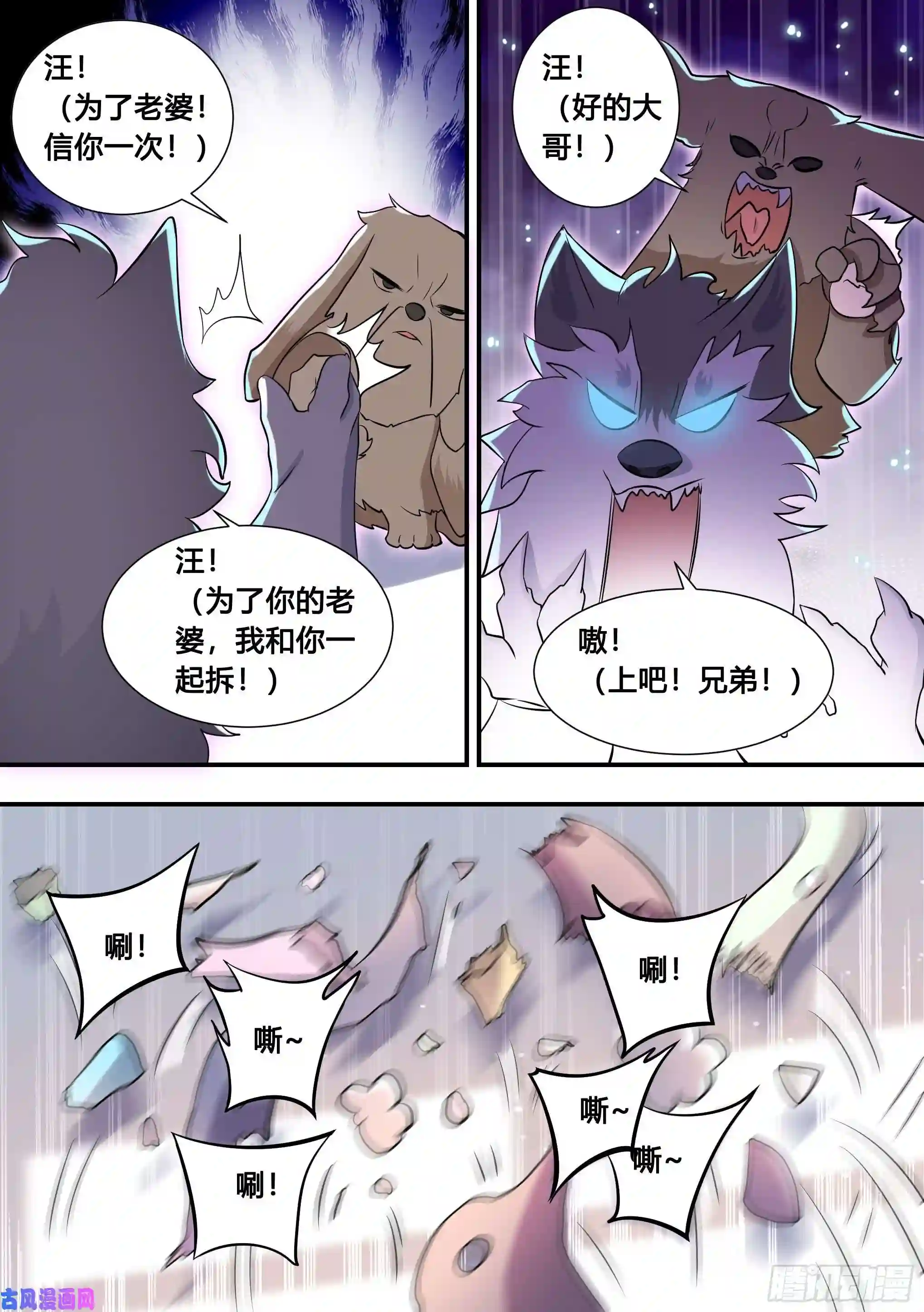 直播：女神家的哈士奇天秀103-心机小白拆家计