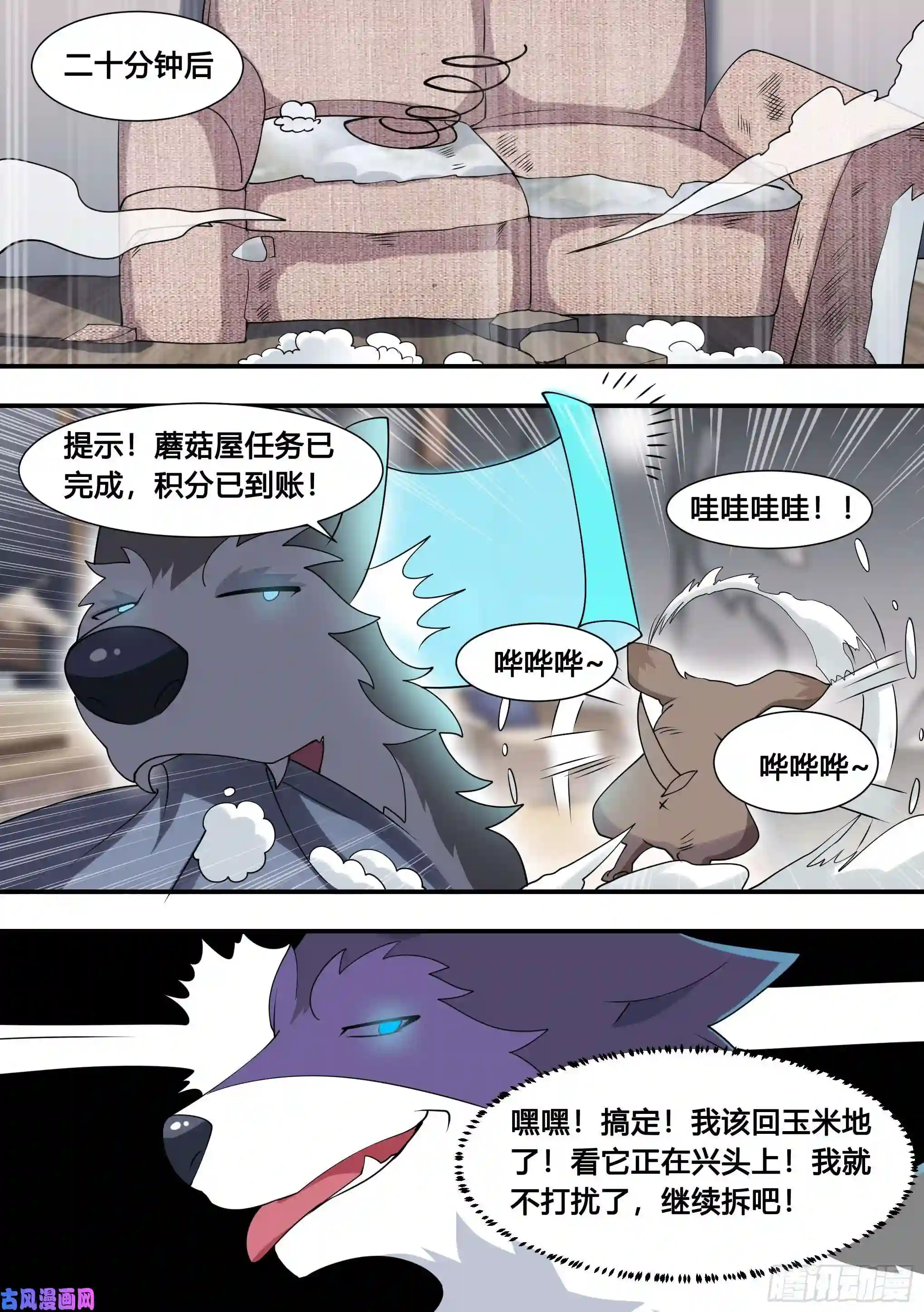 直播：女神家的哈士奇天秀103-心机小白拆家计