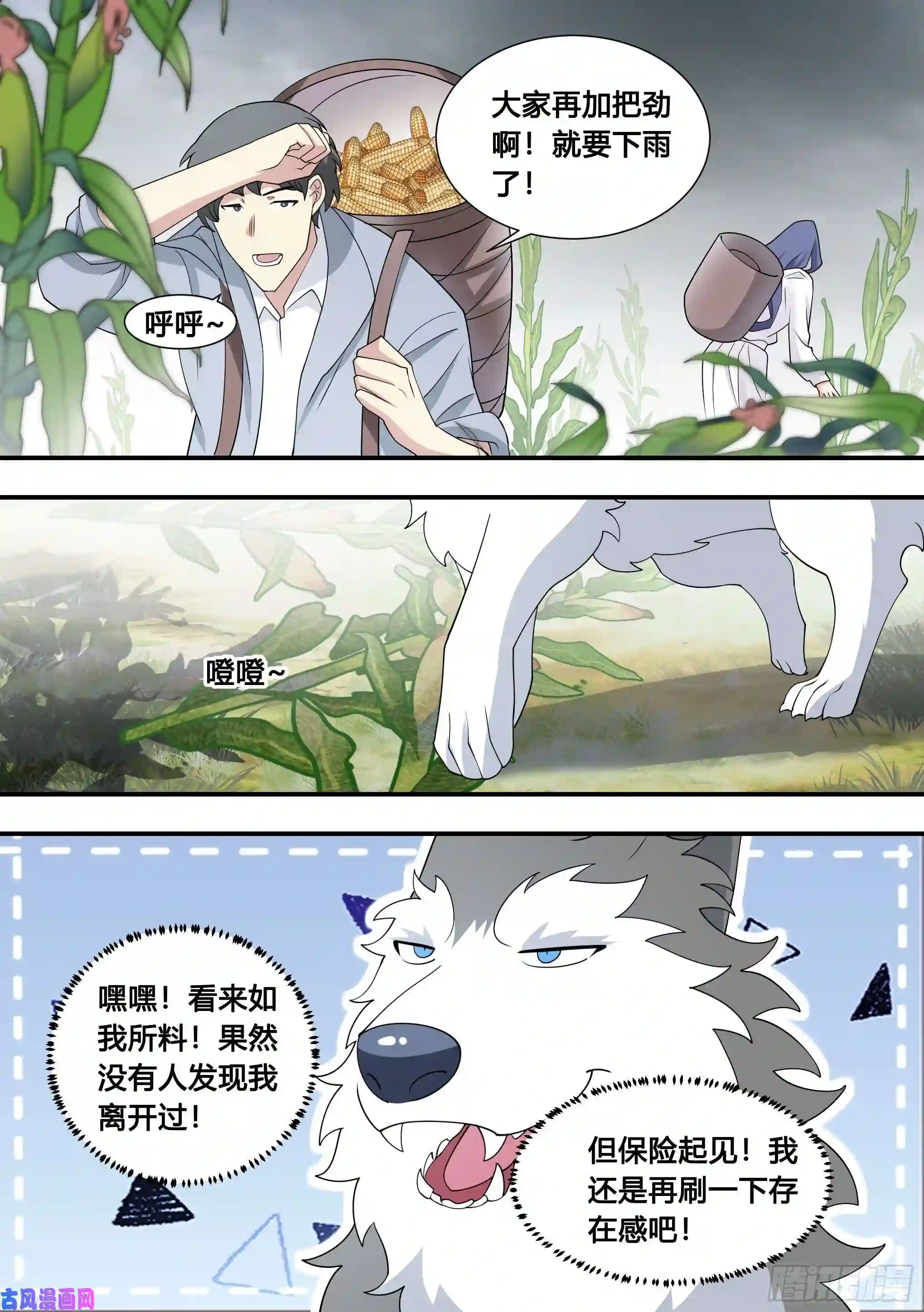 直播：女神家的哈士奇天秀103-心机小白拆家计