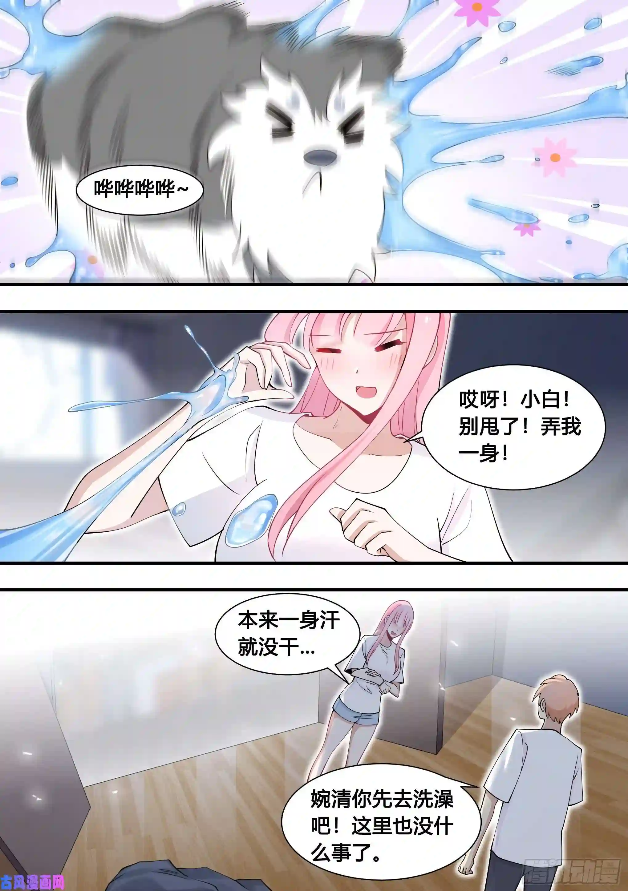 直播：女神家的哈士奇天秀104-案发现场