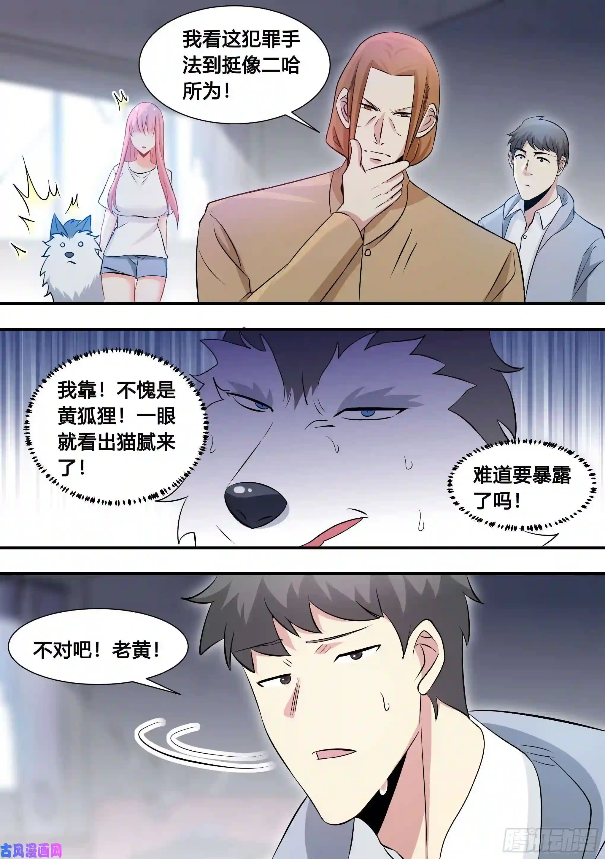 直播：女神家的哈士奇天秀104-案发现场