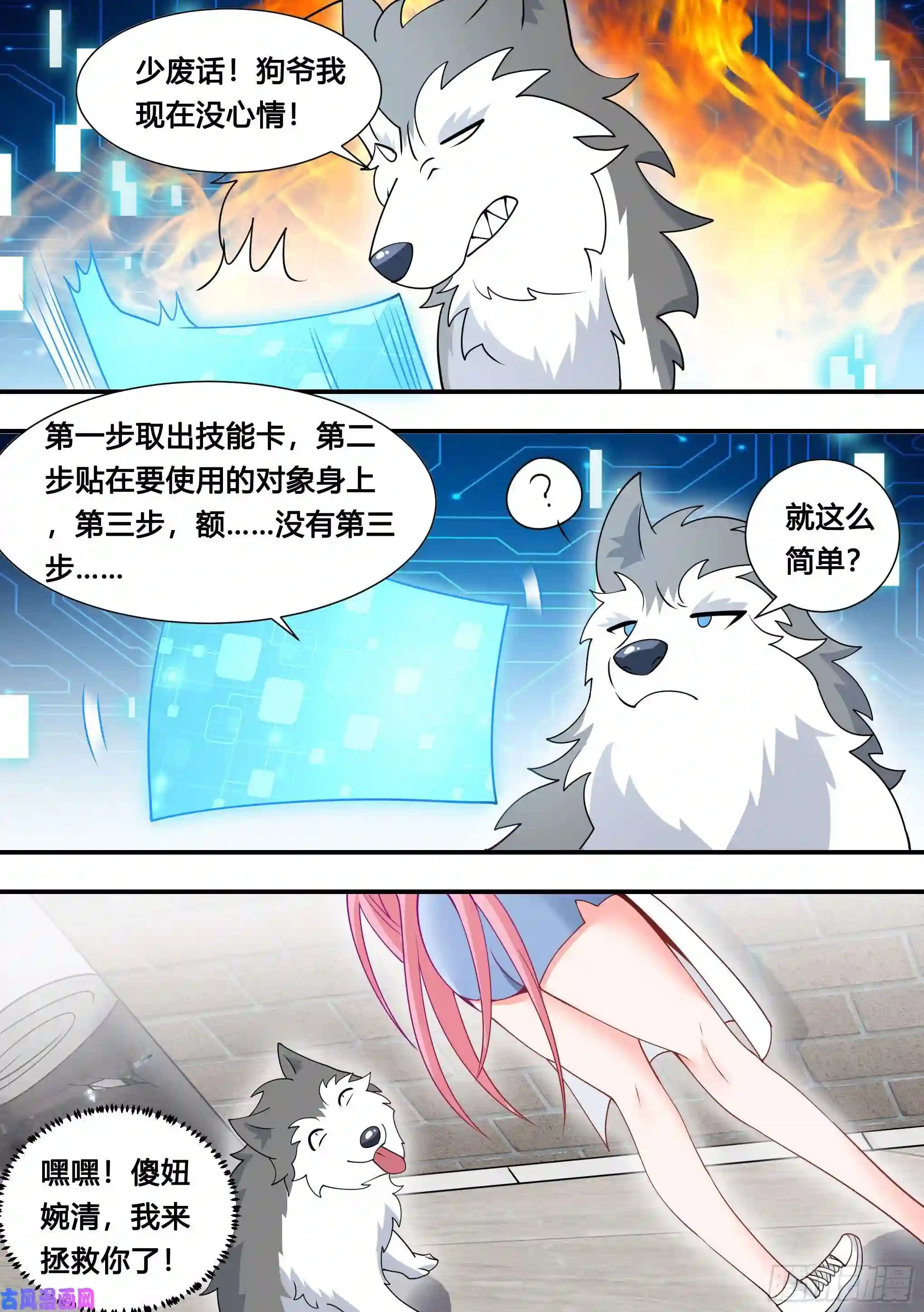 直播：女神家的哈士奇天秀105-啊！小白！！