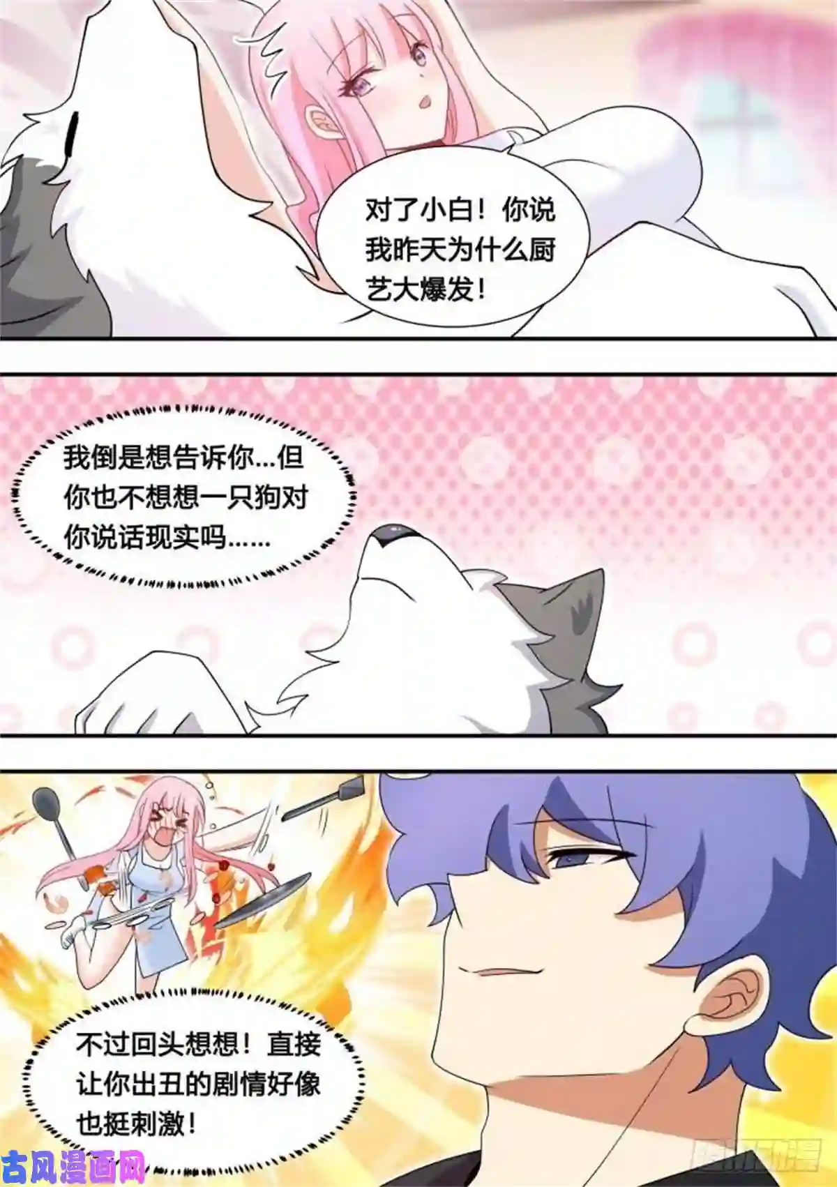 直播：女神家的哈士奇天秀106-小厨娘上线！