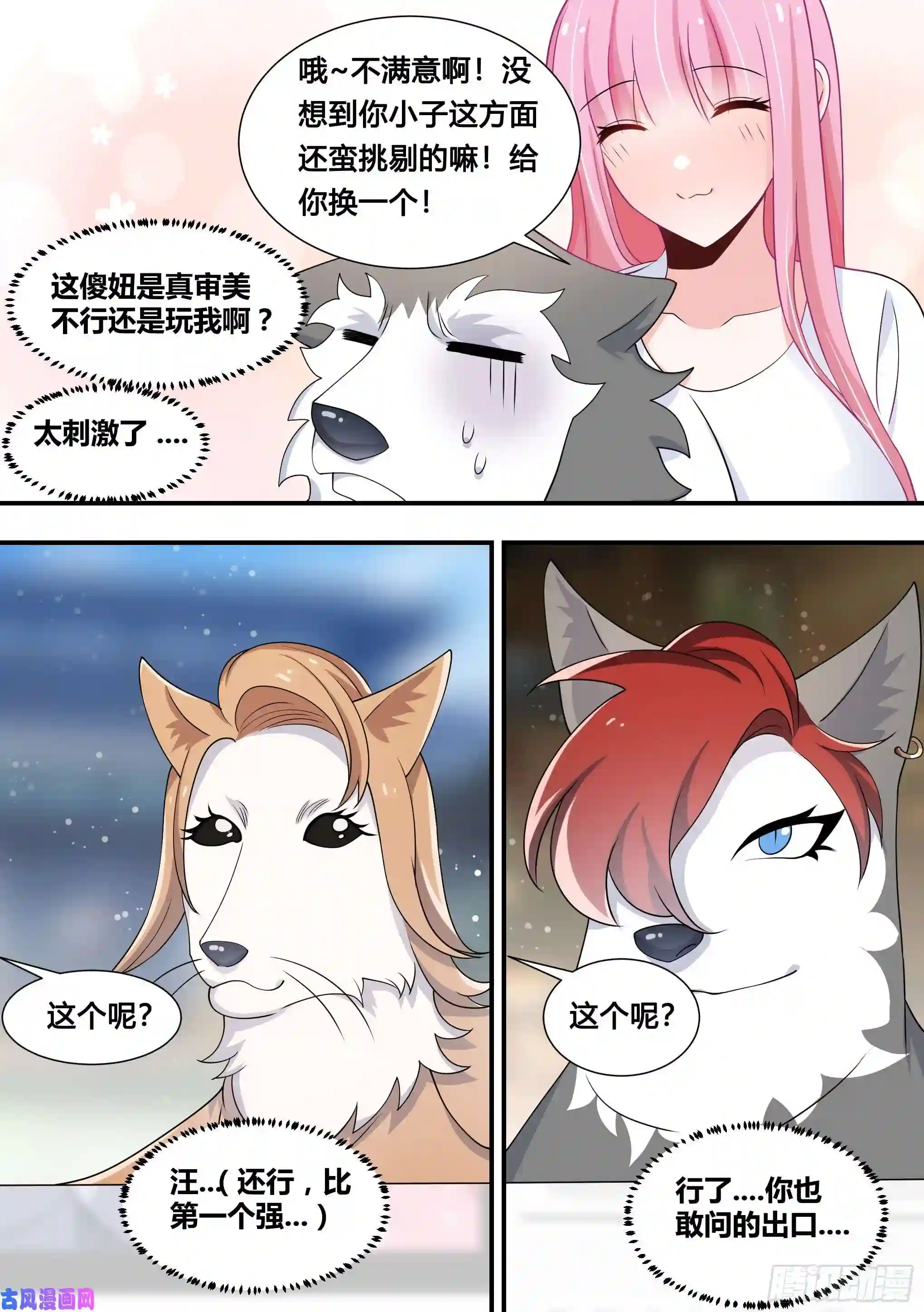 直播：女神家的哈士奇天秀107-相亲？！