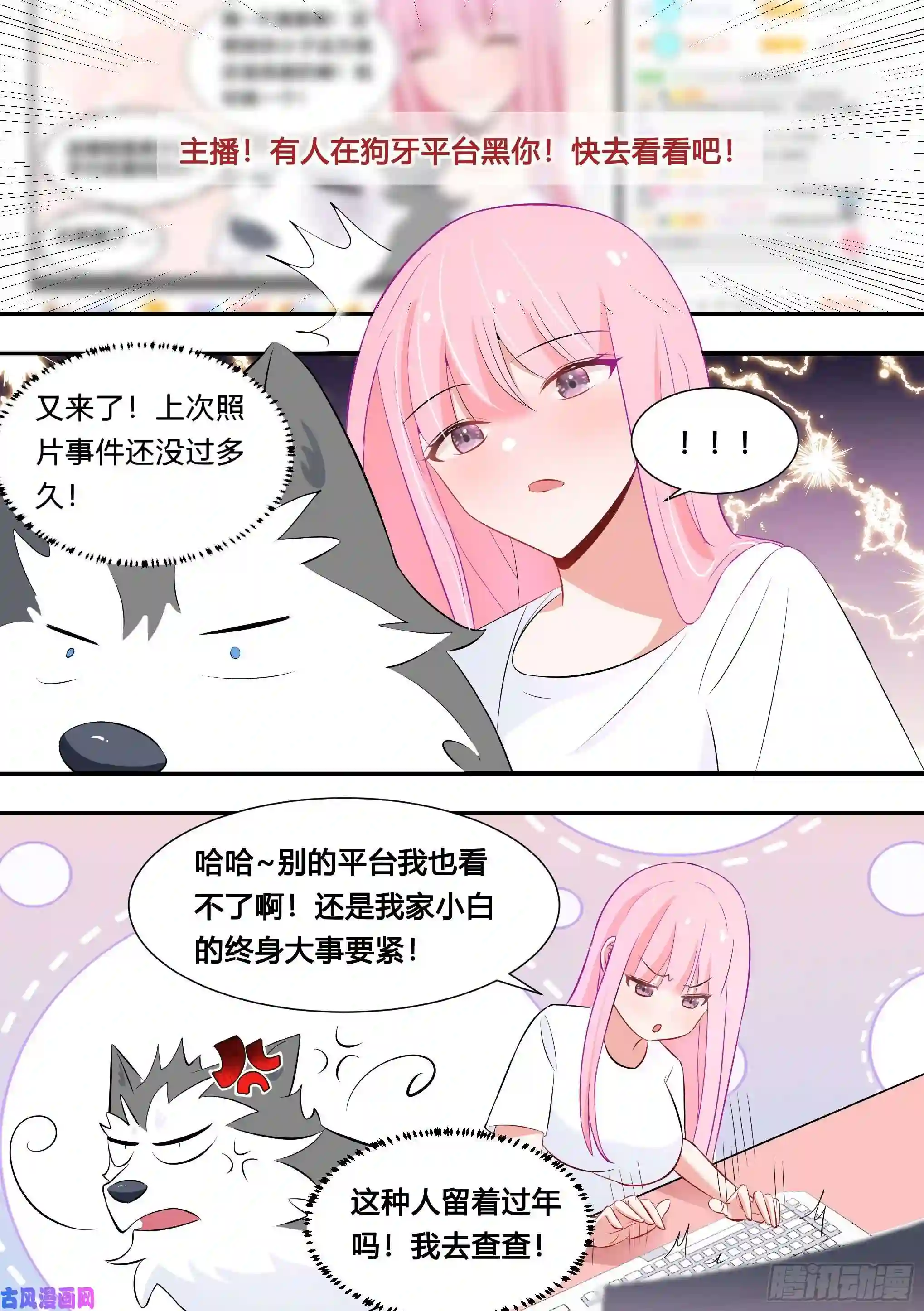 直播：女神家的哈士奇天秀107-相亲？！