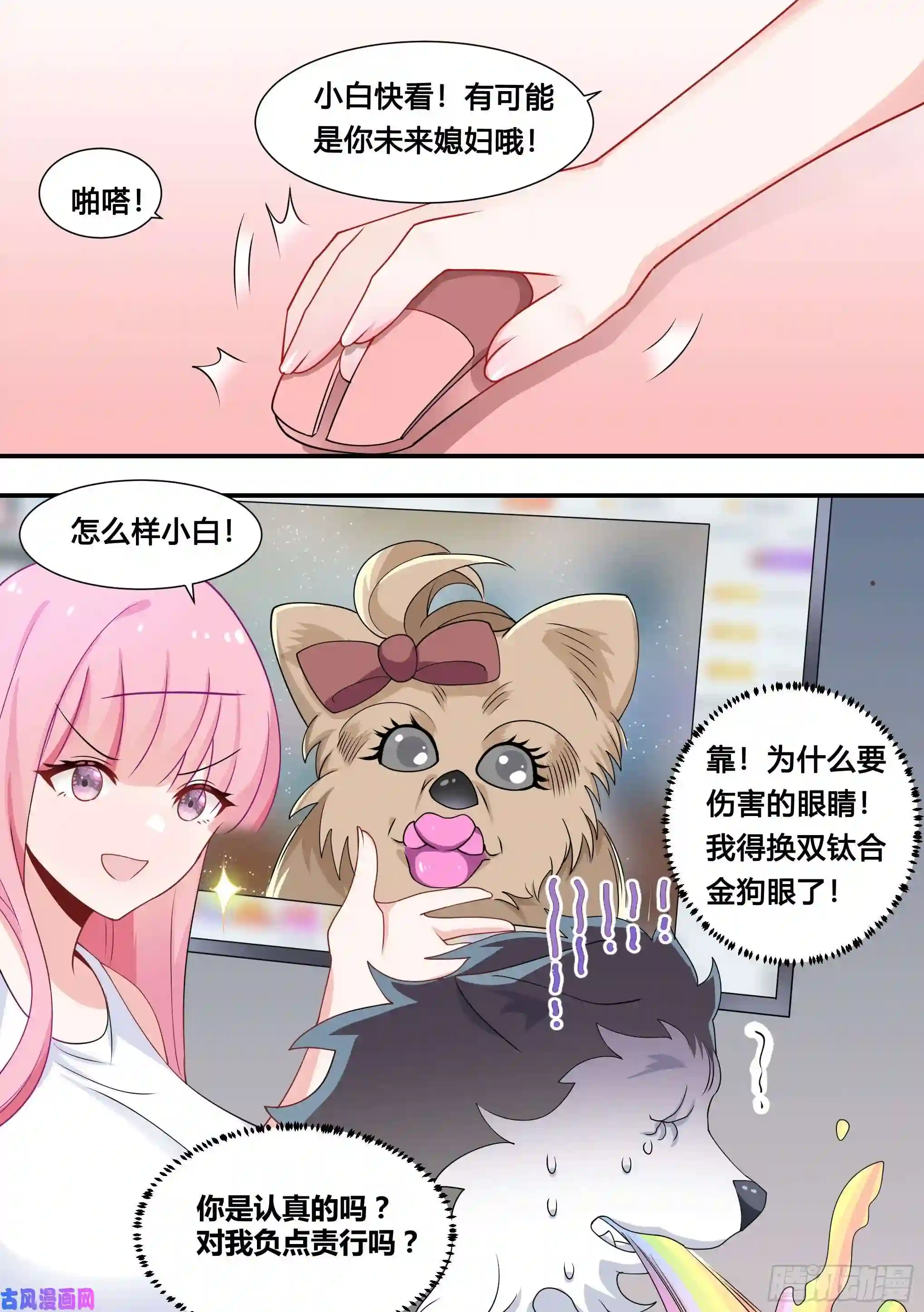 直播：女神家的哈士奇天秀107-相亲？！